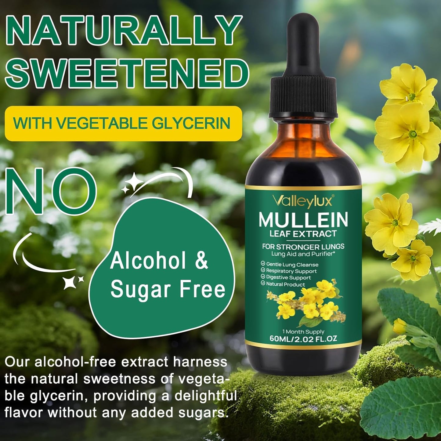 Vegetarian Mullein Leaf Extract Drops for Lung Health - Natural Cleanse Supplement - 2 FL OZ Bottle - BoostGo Australia