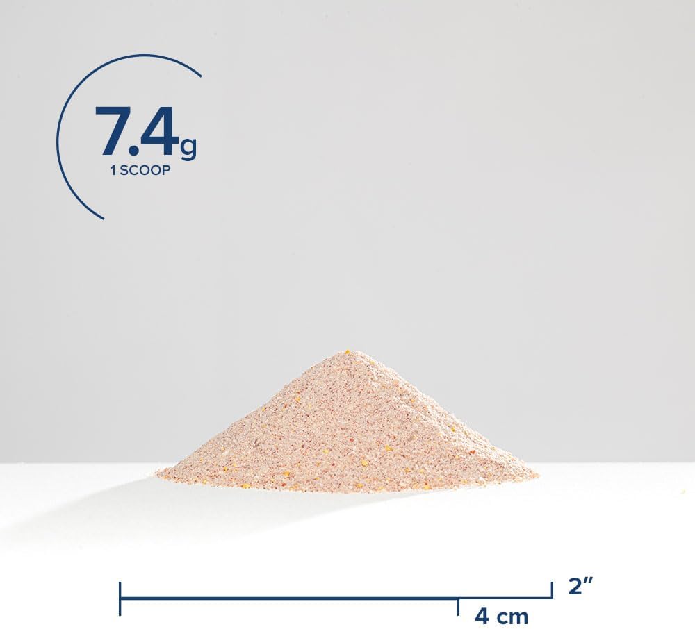 Vegetarian Multivitamin Powder with Bioavailable B Vitamins for Immune System and Energy Support