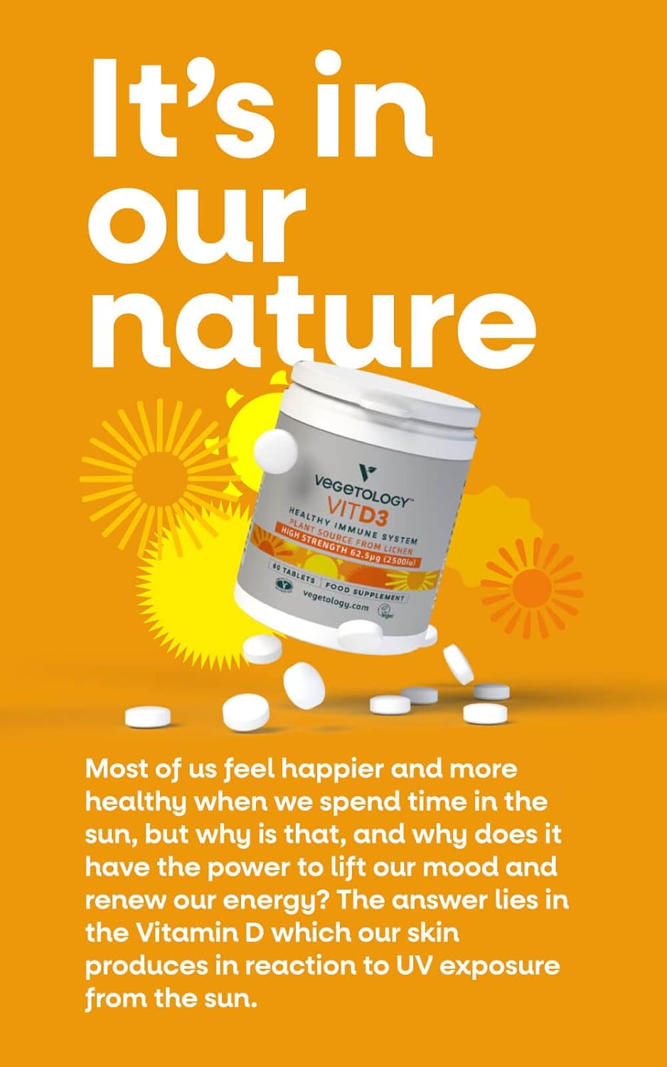 VEGETOLOGY Ultimate Vegan Supplement Bundle: Omega 3, D3, MultiVit, B12 - Starter Pack