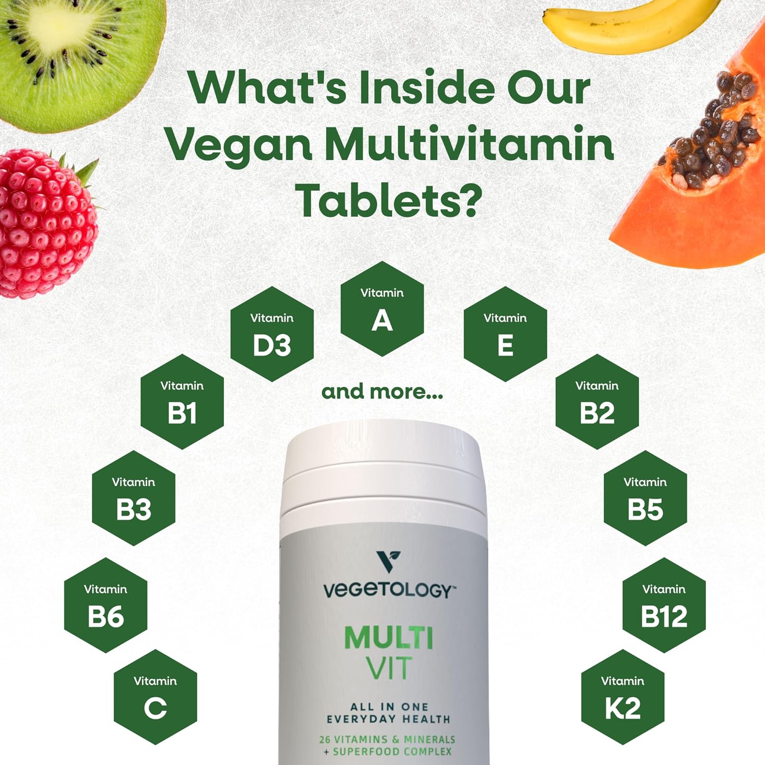 VEGETOLOGY Vegan Multivitamin Supplement, 26 Essential Vitamins & Minerals for Metabolic & Immune Support - Pack of 3