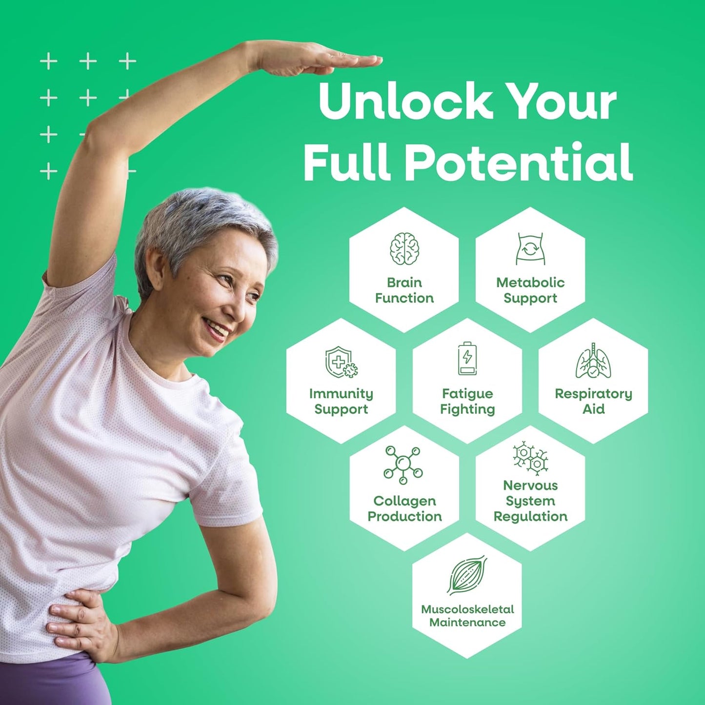 VEGETOLOGY Vegan Multivitamin Supplement, 26 Essential Vitamins & Minerals for Metabolic & Immune Support - Pack of 3