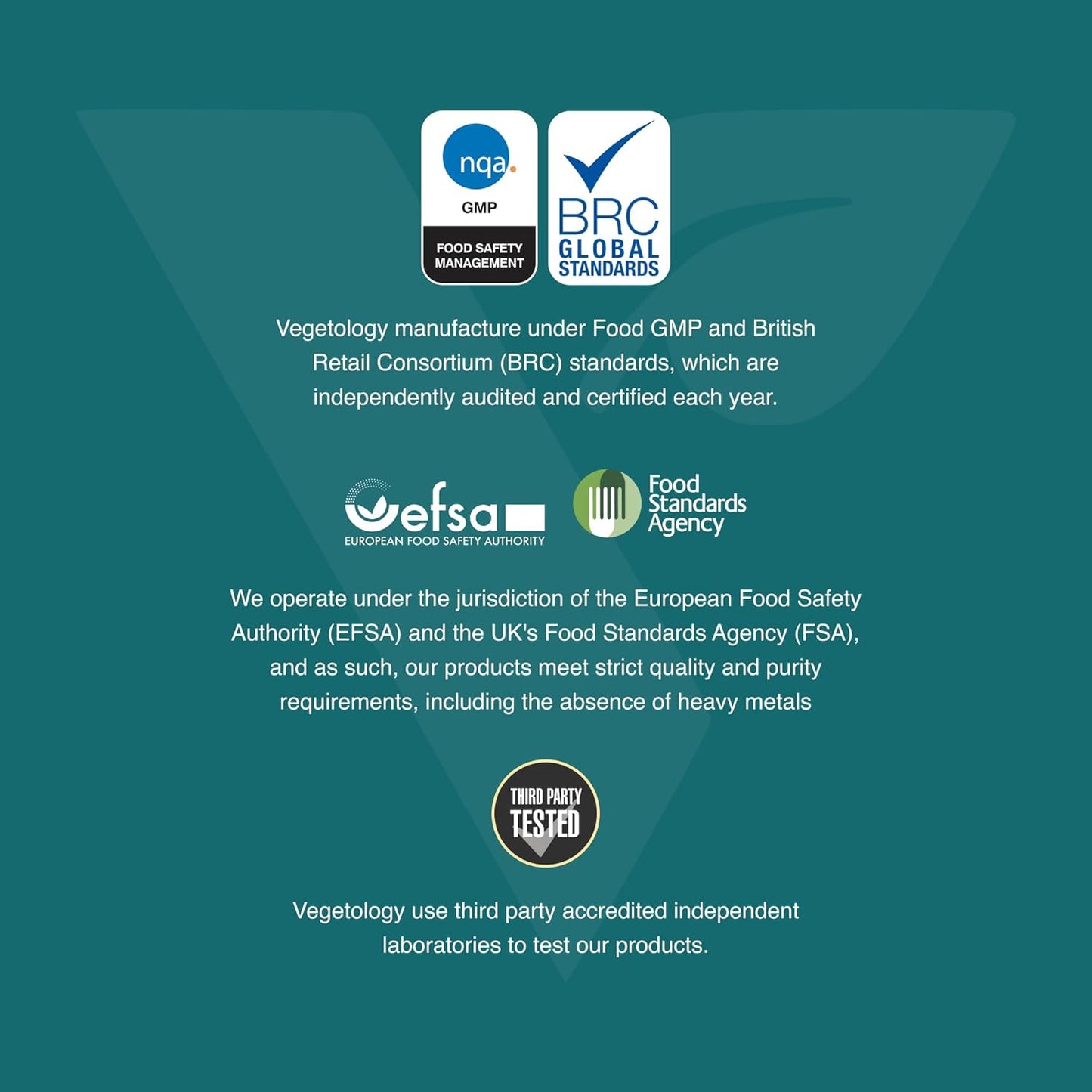 VEGETOLOGY Vegan Multivitamin Supplement, 26 Essential Vitamins & Minerals for Metabolic & Immune Support - Pack of 3