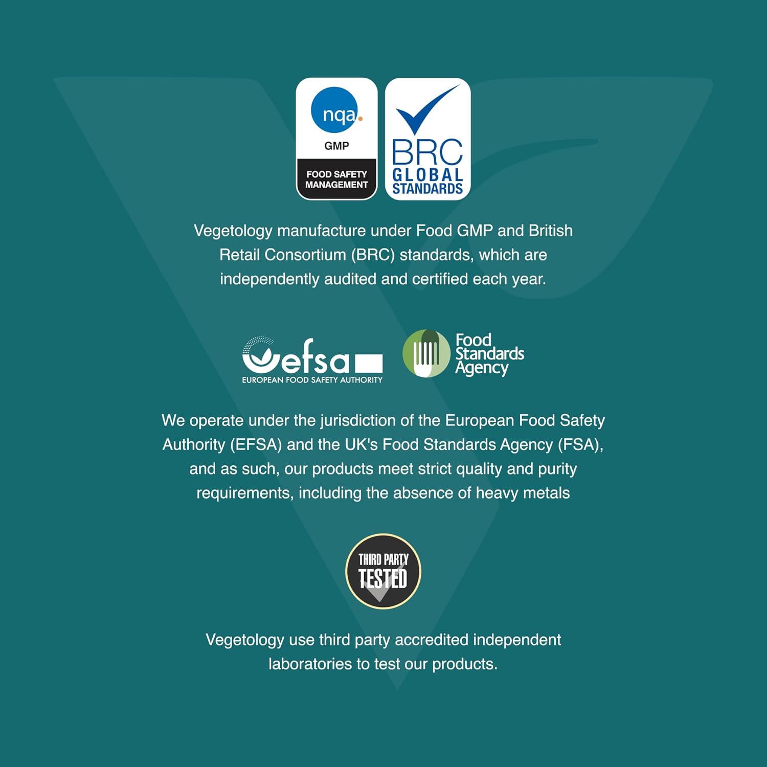 VEGETOLOGY Vegan Multivitamin Supplement, 26 Essential Vitamins & Minerals for Metabolic & Immune Support - Pack of 3