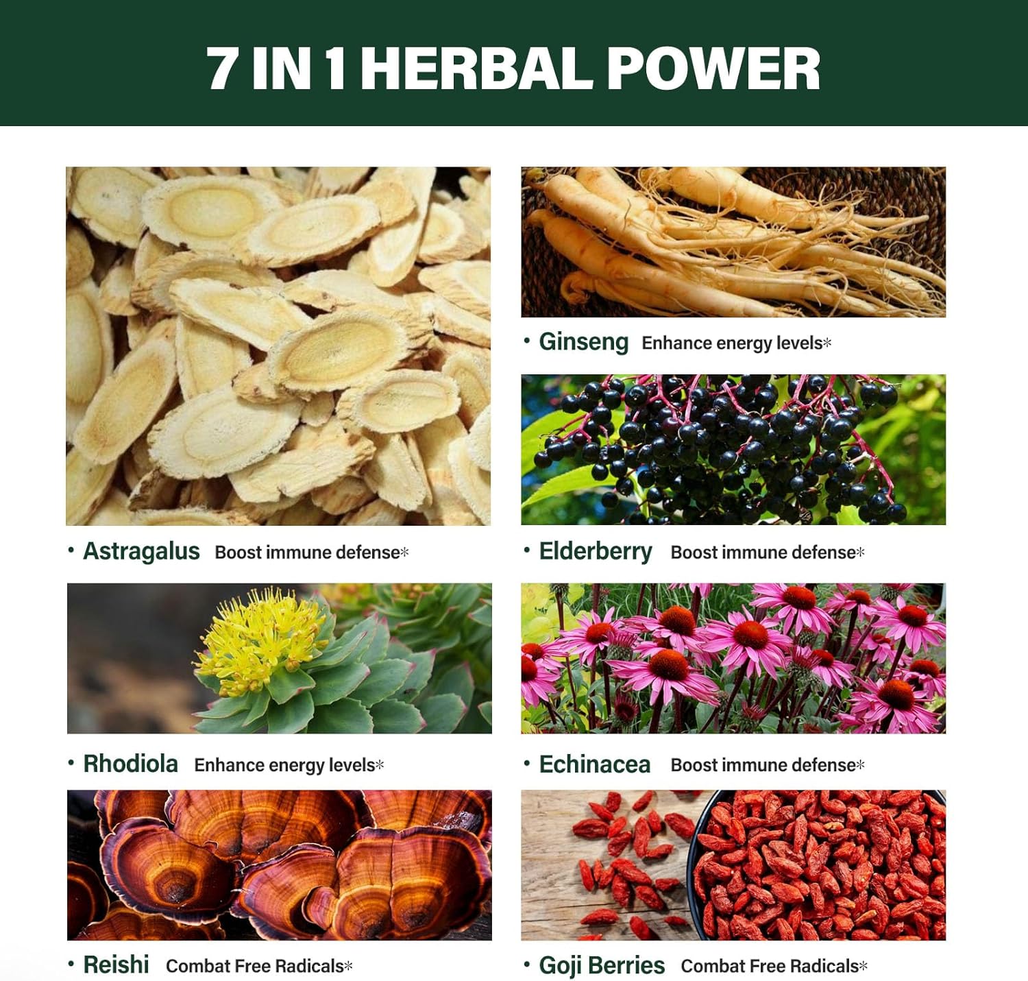 Verdeherb Astragalus Root Extract Drops with Rhodiola Rosea, Echinacea, Elderberry, Reishi & Ginseng - Immune System Support Tincture - 2oz