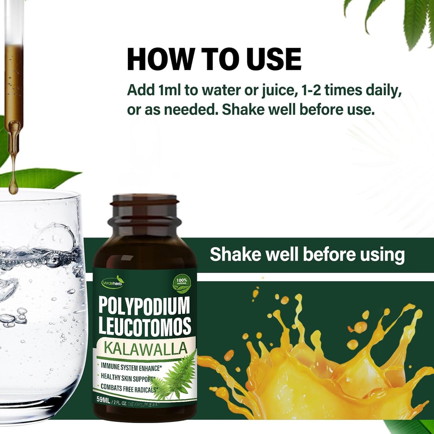 Verdeherb Polypodium leucotomos Immune Support Drops - Natural Kalawalla Herb Extract for Skin Health - 2oz