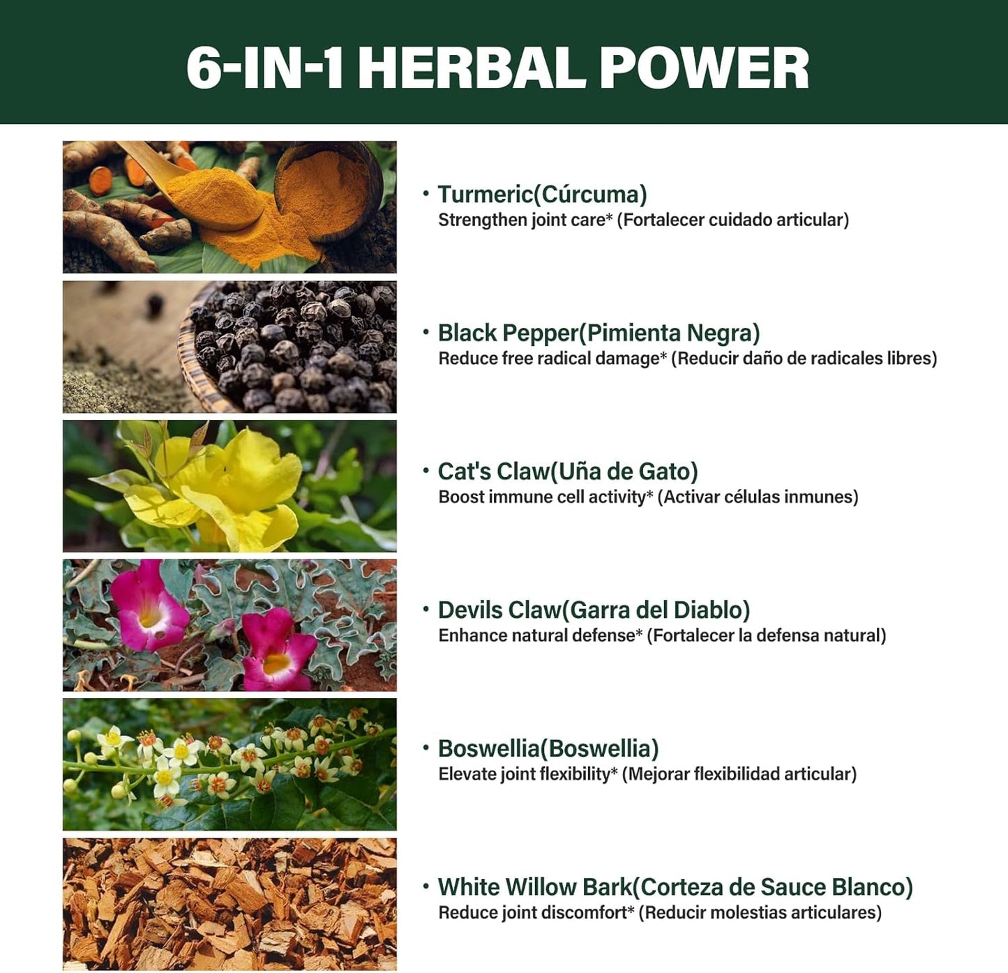 Verdeherb Turmeric Liquid Drops with Black Pepper Boswellia - Joint Health & Immunity Support Supplement - 2oz