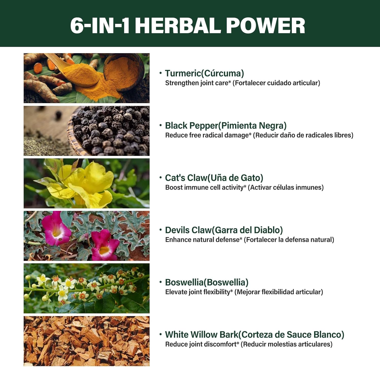Verdeherb Turmeric Liquid Drops with Black Pepper Boswellia - Joint Health & Immunity Support Supplement - 2oz