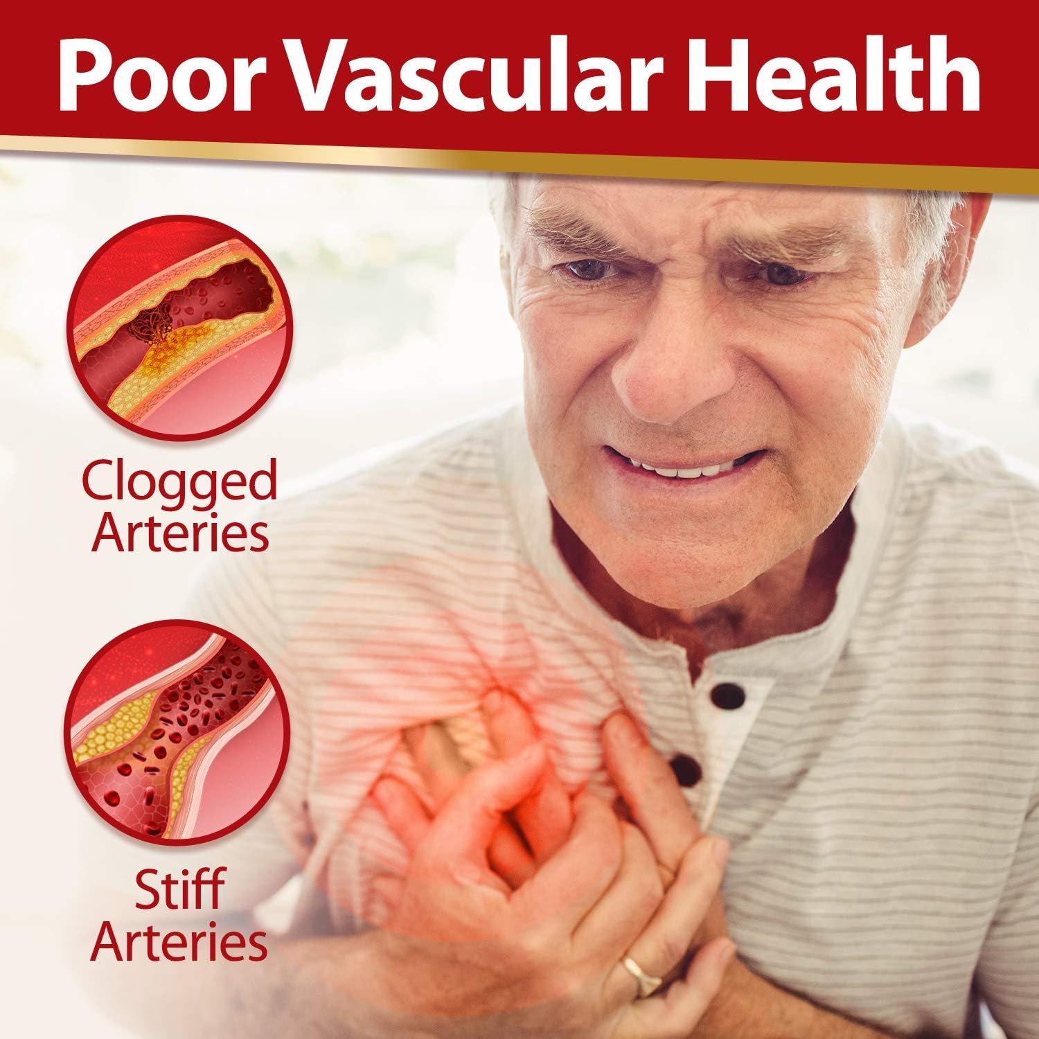 VesseCLEAR EX + NeuroREGAIN: Nattokinase & Scallop-derived PLASMALOGEN for Cardiovascular & Brain Health