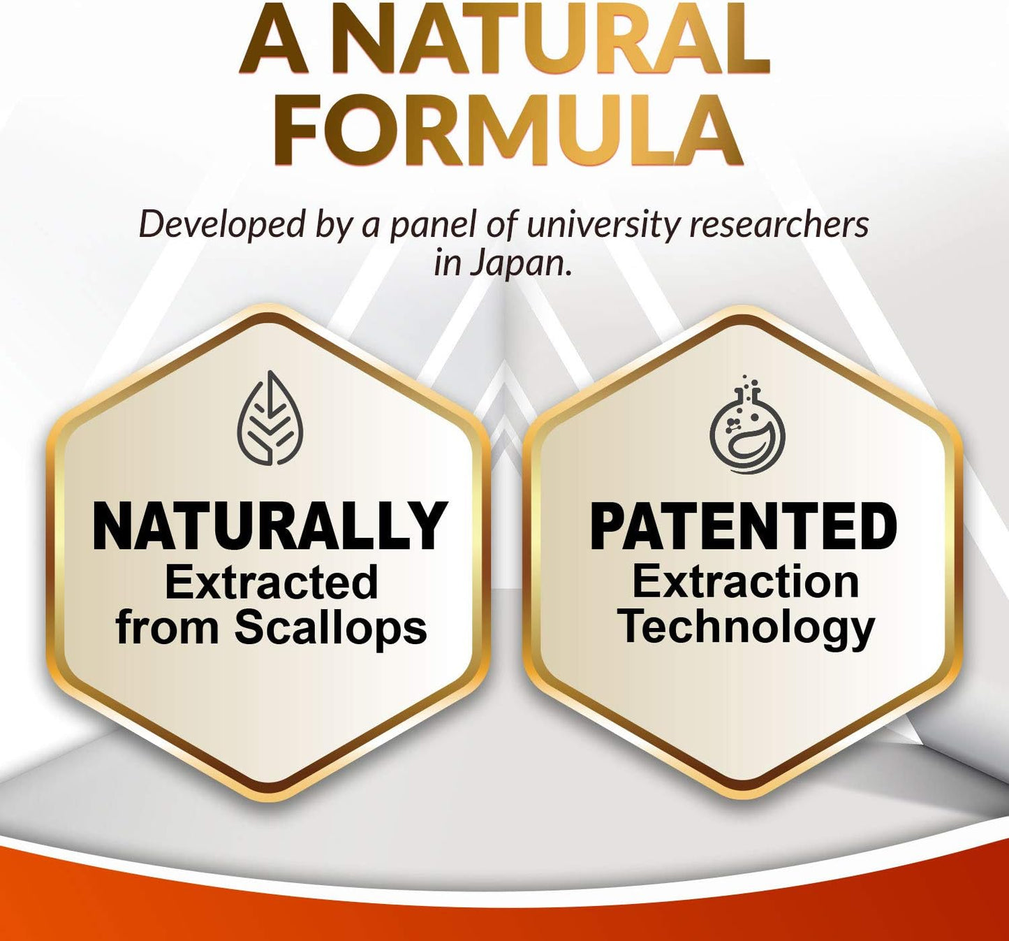 VesseCLEAR EX + NeuroREGAIN: Nattokinase & Scallop-derived PLASMALOGEN for Cardiovascular & Brain Health