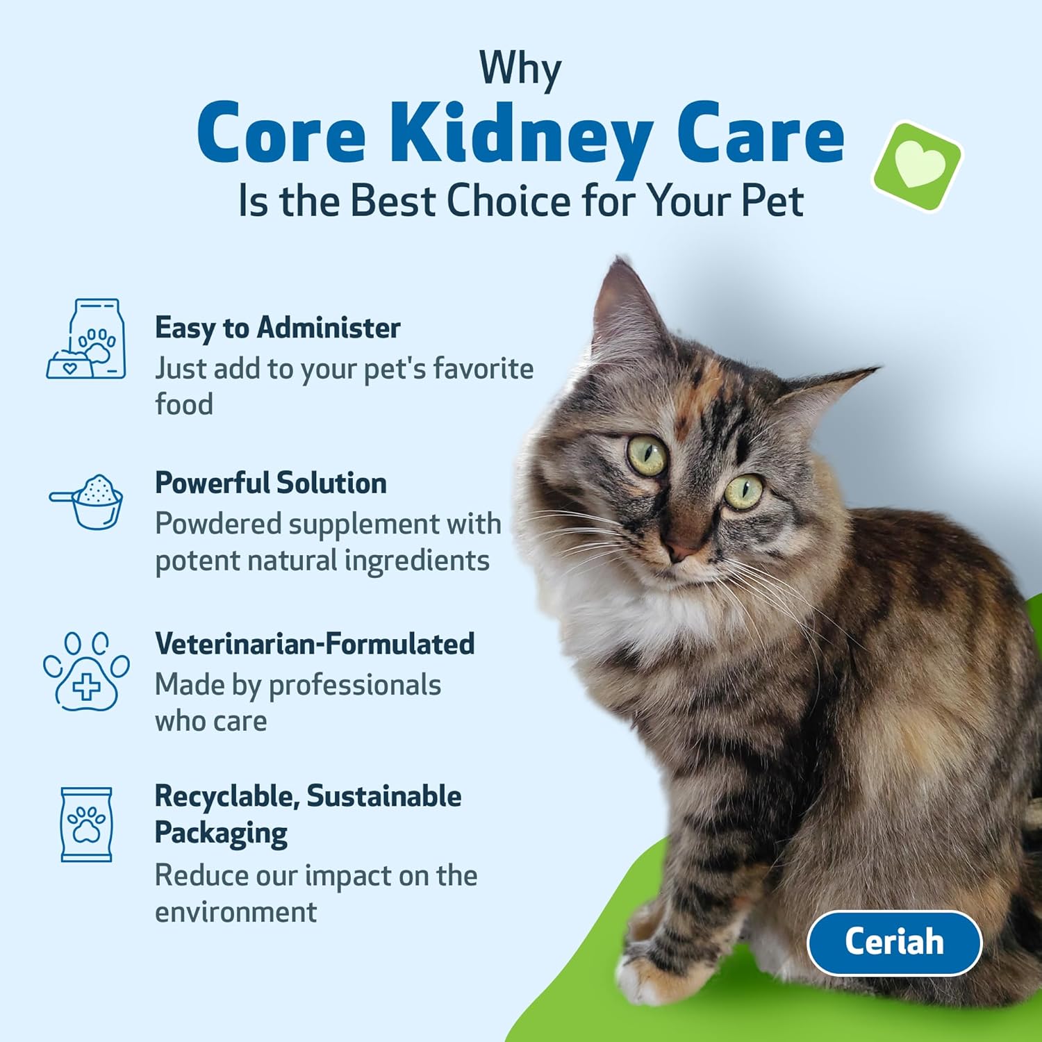 Vet-Formulated Pet Wellbeing Core Kidney Care Powder for Cats & Dogs - Daily Phosphate Binder with FOS, Chitosan, Probiotics, Reishi - 5.08 oz