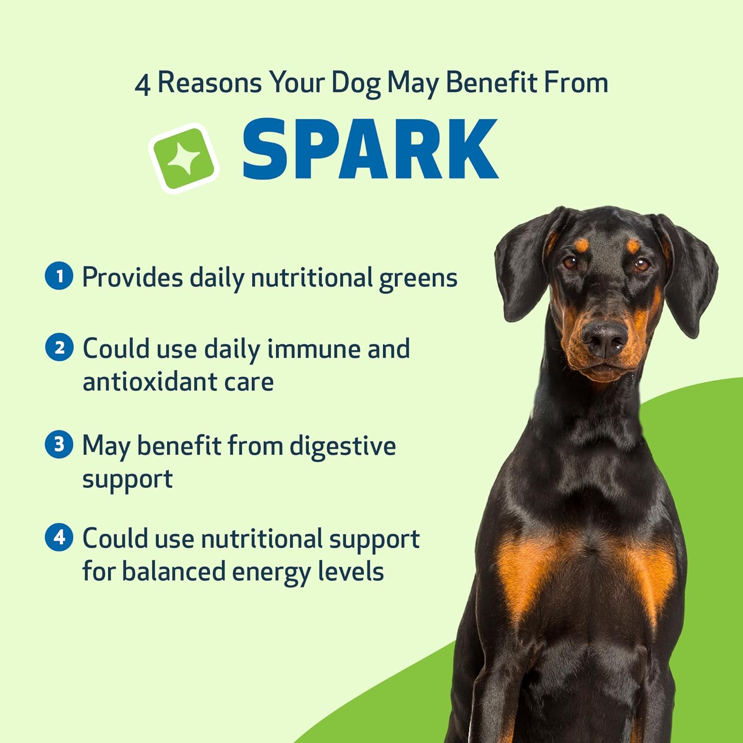 Vet-Formulated Pet Wellbeing Spark Daily Greens Superfood for Dogs & Cats - Probiotics, Enzymes, Antioxidants - 3.53 oz