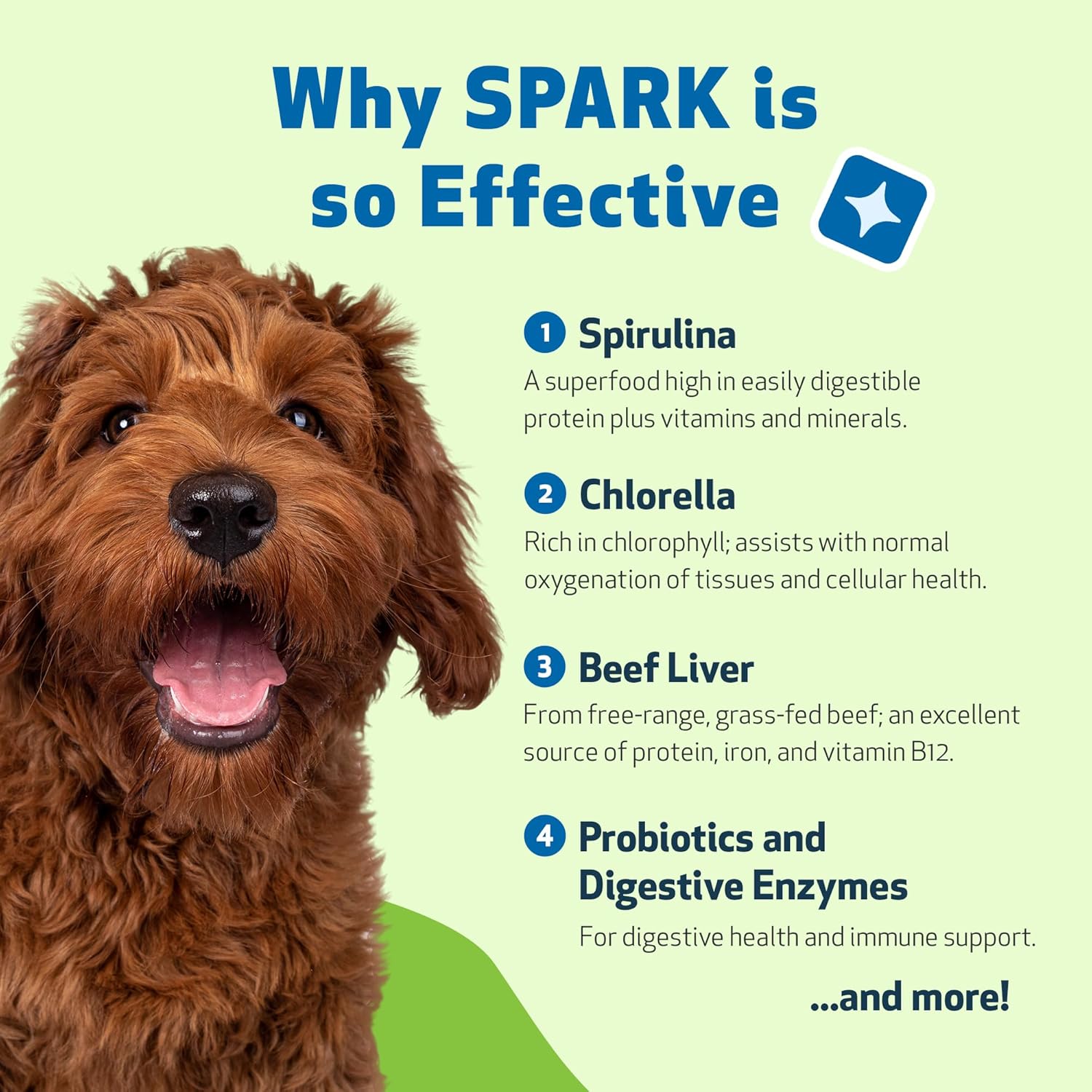 Vet-Formulated Pet Wellbeing Spark Daily Greens Superfood for Dogs & Cats - Probiotics, Enzymes, Antioxidants - 3.53 oz