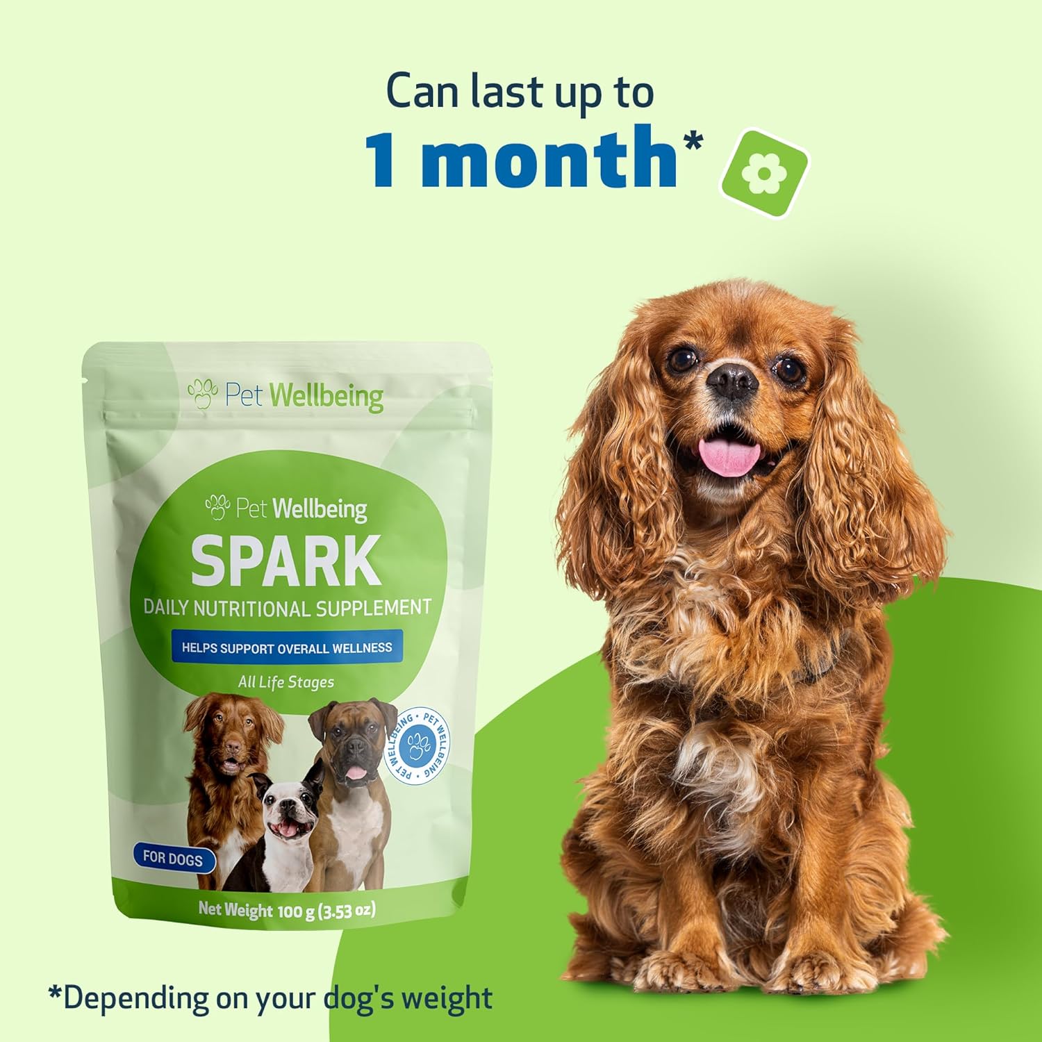 Vet-Formulated Pet Wellbeing Spark Daily Greens Superfood for Dogs & Cats - Probiotics, Enzymes, Antioxidants - 3.53 oz