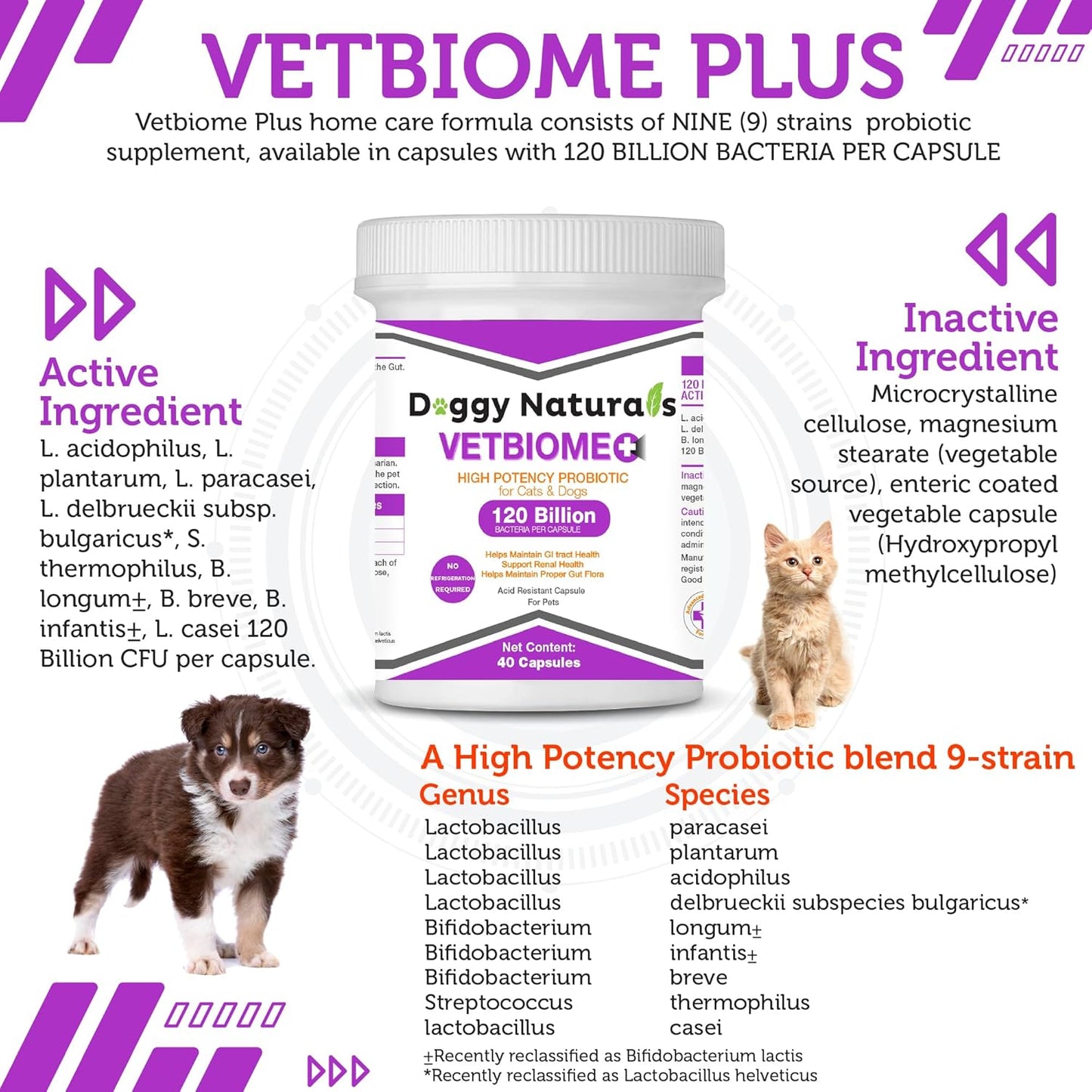 Vetbiome High Potency Probiotics for Pets - 40 Capsules, Made in U.S.A, No Refrigeration Needed