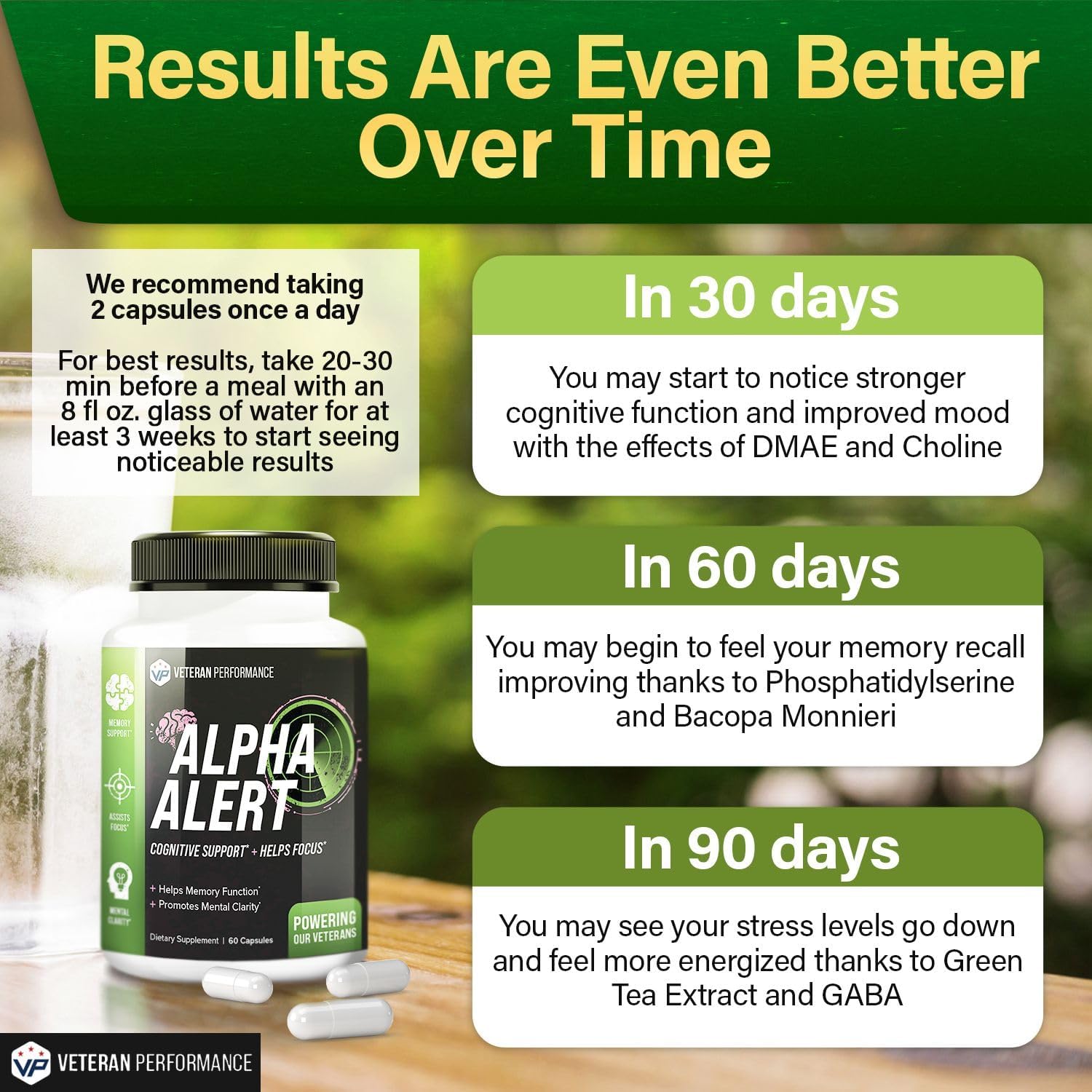 Veteran Performance Alpha Alert Brain Supplement - Memory & Focus Nootropic with DMAE, Choline, GABA, Vitamin B6 - Cognitive Function Booster (60 Count)