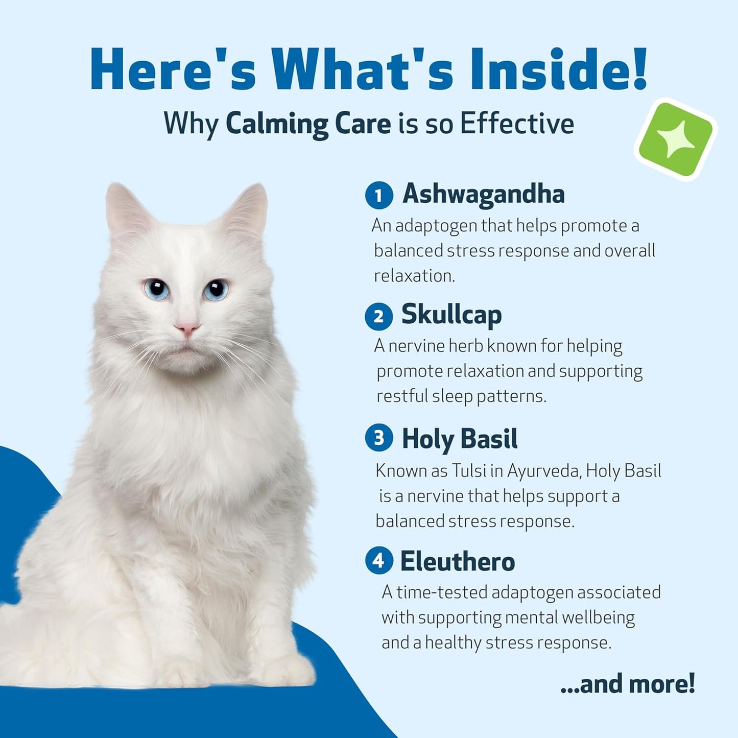 Veterinarian-Formulated Herbal Supplement for Cats - Calming Support with Adaptogens, Ashwagandha, Holy Basil - Emotional Balance and Relaxation - 2 oz