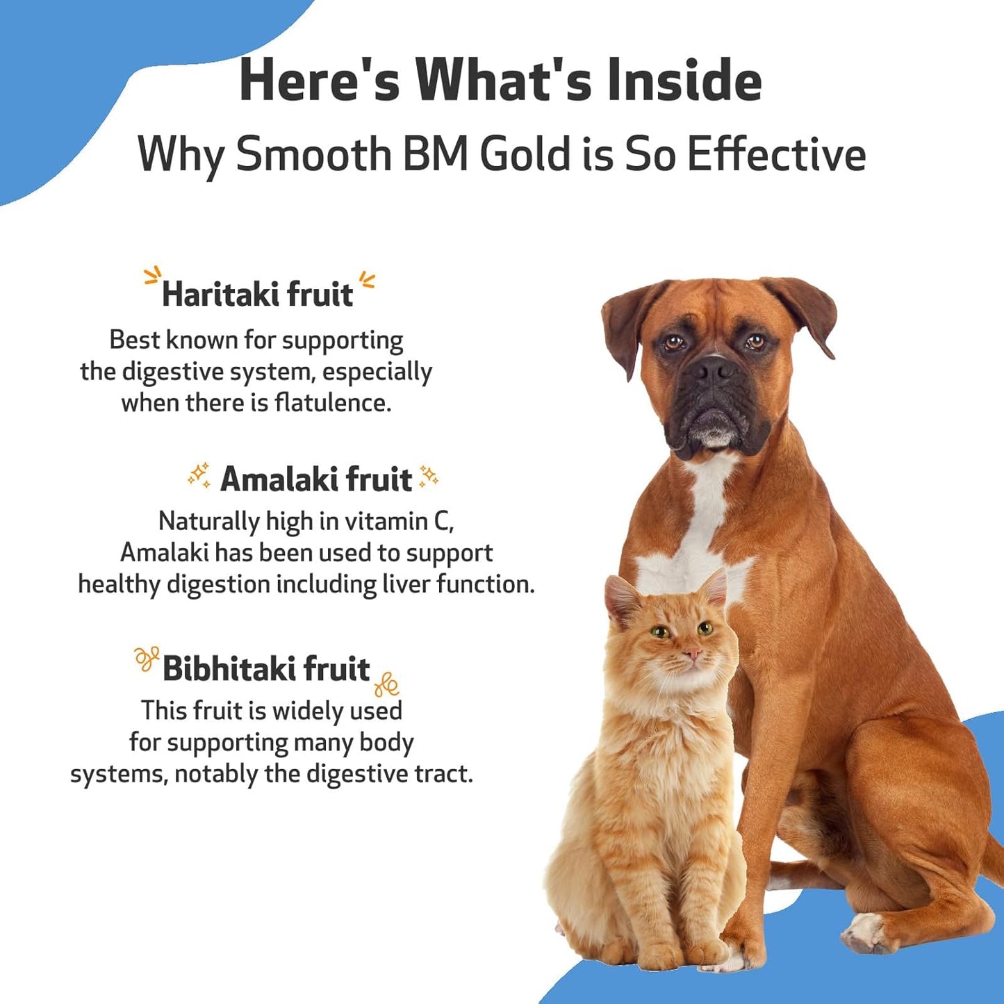 Veterinarian-Formulated Herbal Supplement for Dogs & Cats - Smooth BM Gold for Healthy Bowel Movements, Gastrointestinal Health - Triphala - 4 oz