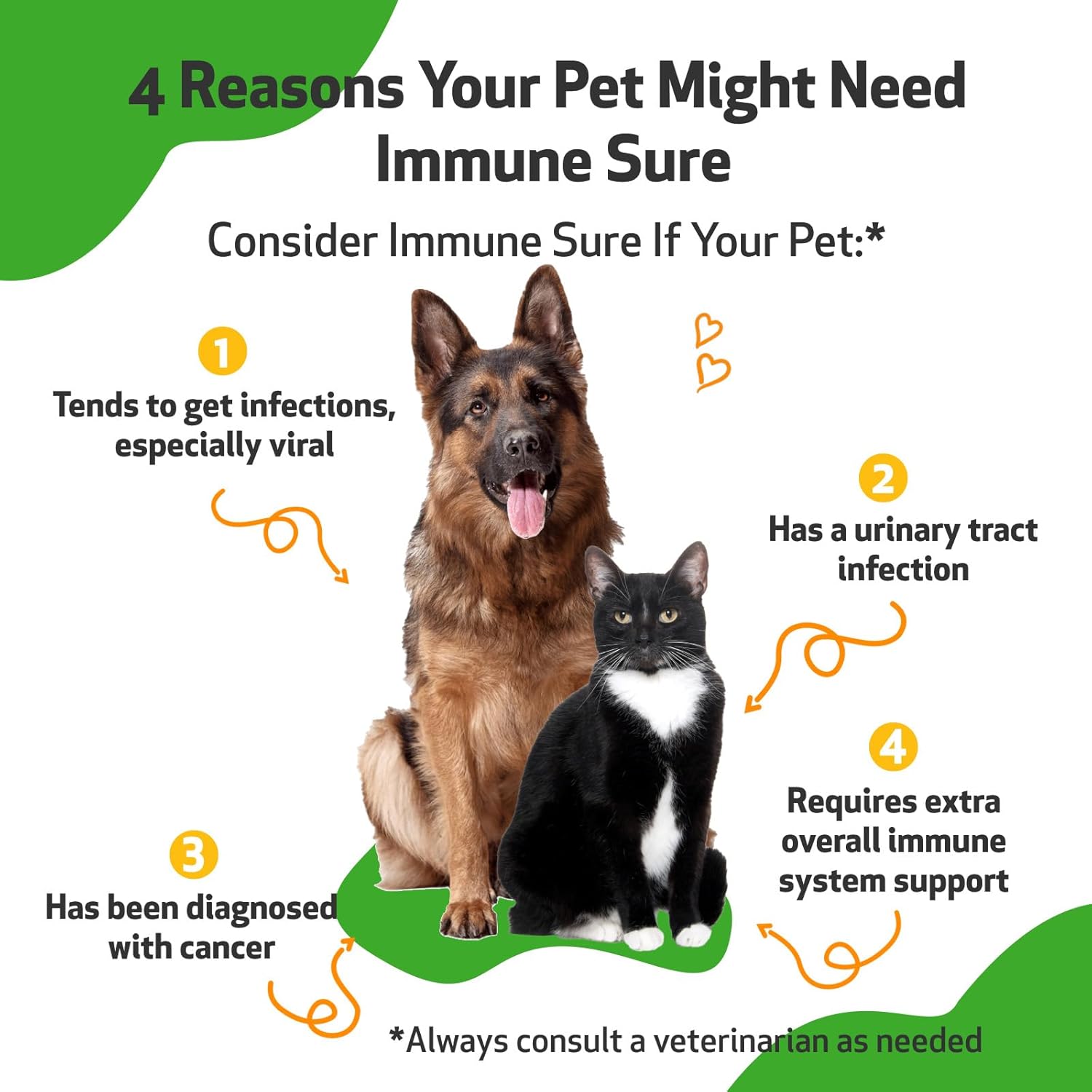 Veterinarian-Formulated Pet Wellbeing Immune Support Supplement for Dogs - Boosts Immune Defenses, Gut Health, Andrographis, Echinacea, Vitamin C, Zinc - 4 oz