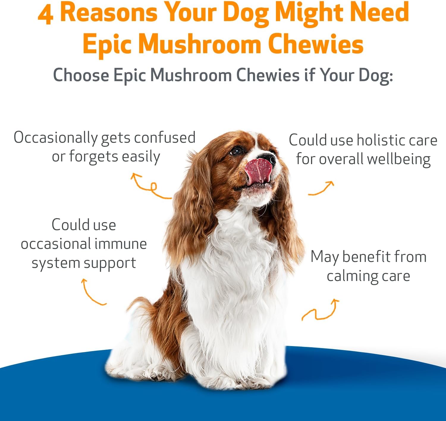 Veterinarian-Formulated Pet Wellbeing Mushroom Chewies for Dogs - Immune & Cognitive Health Support with Reishi, Chaga, Lion's Mane - 90 Soft Chews