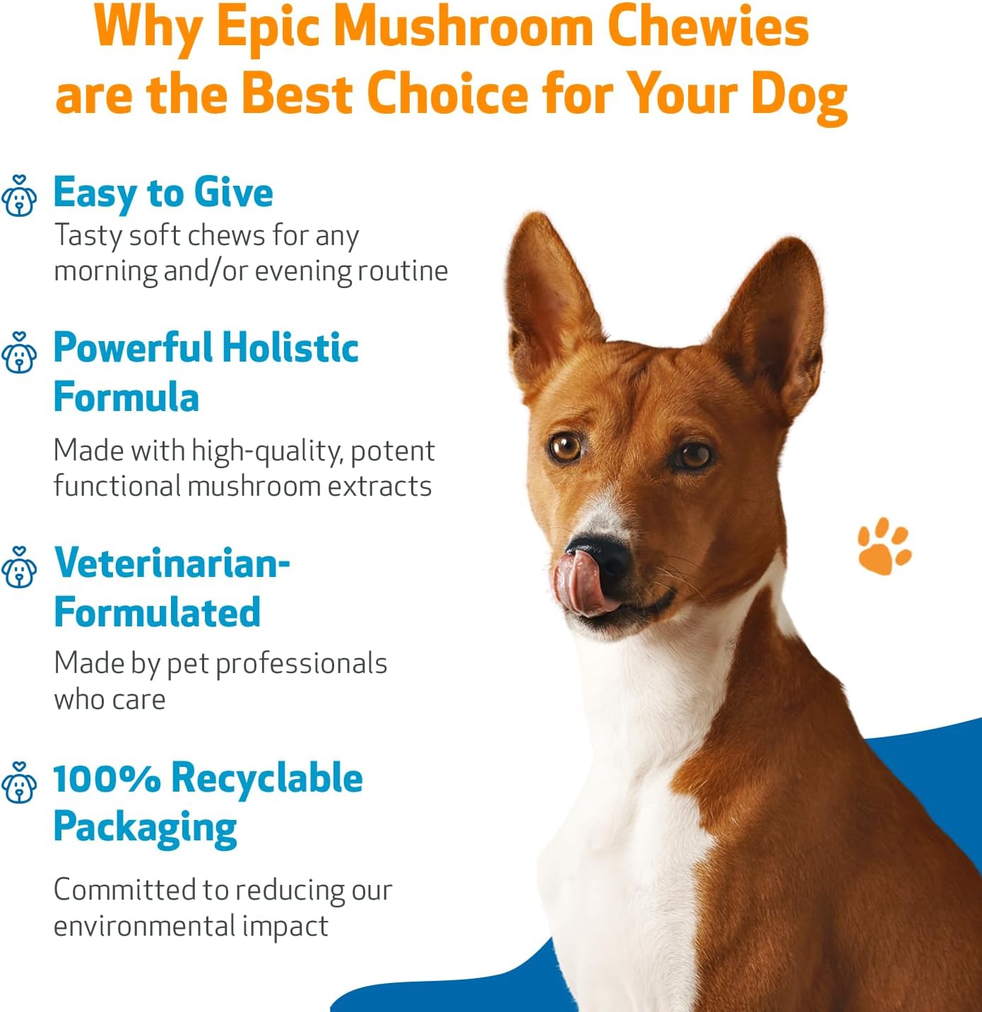 Veterinarian-Formulated Pet Wellbeing Mushroom Chewies for Dogs - Immune & Cognitive Health Support with Reishi, Chaga, Lion's Mane - 90 Soft Chews