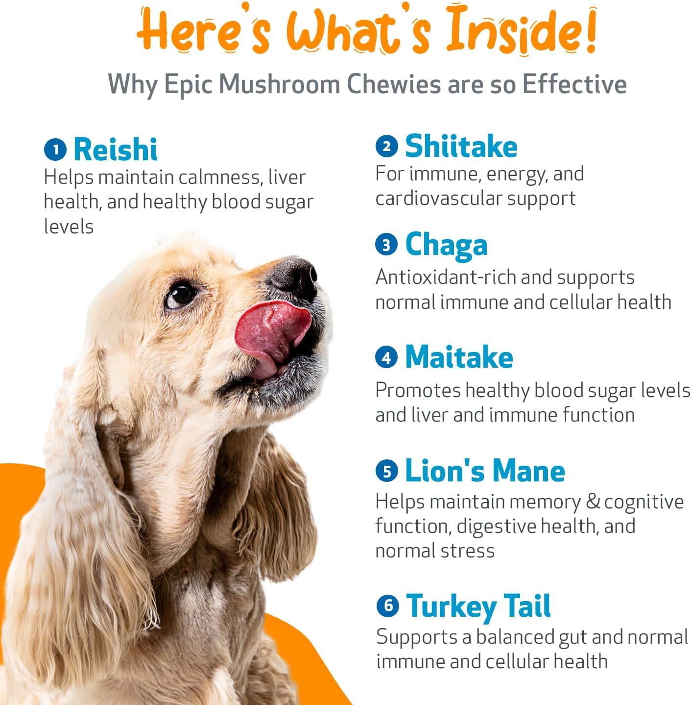 Veterinarian-Formulated Pet Wellbeing Mushroom Chewies for Dogs - Immune & Cognitive Health Support with Reishi, Chaga, Lion's Mane - 90 Soft Chews