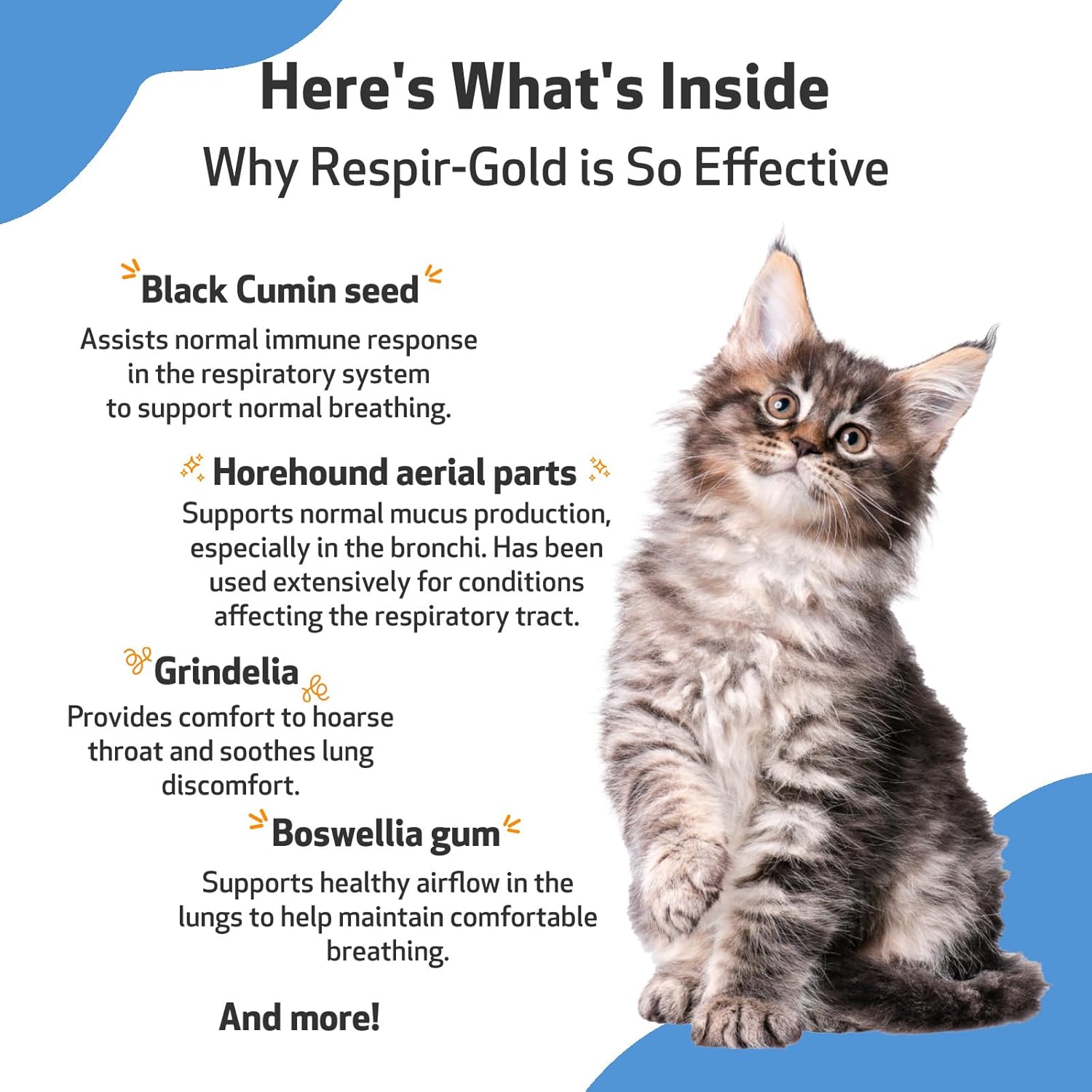 Veterinarian-Formulated Pet Wellbeing Respir-Gold Herbal Supplement for Cats - Promotes Healthy Breathing and Respiratory Support with Black Cumin, Horehound, and Grindelia - 2 oz