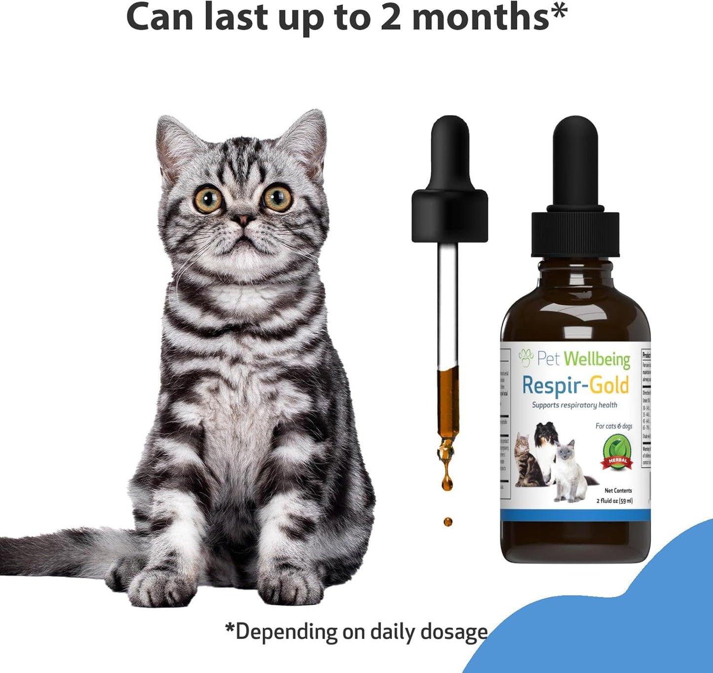 Veterinarian-Formulated Pet Wellbeing Respir-Gold Herbal Supplement for Cats - Promotes Healthy Breathing and Respiratory Support with Black Cumin, Horehound, and Grindelia - 2 oz