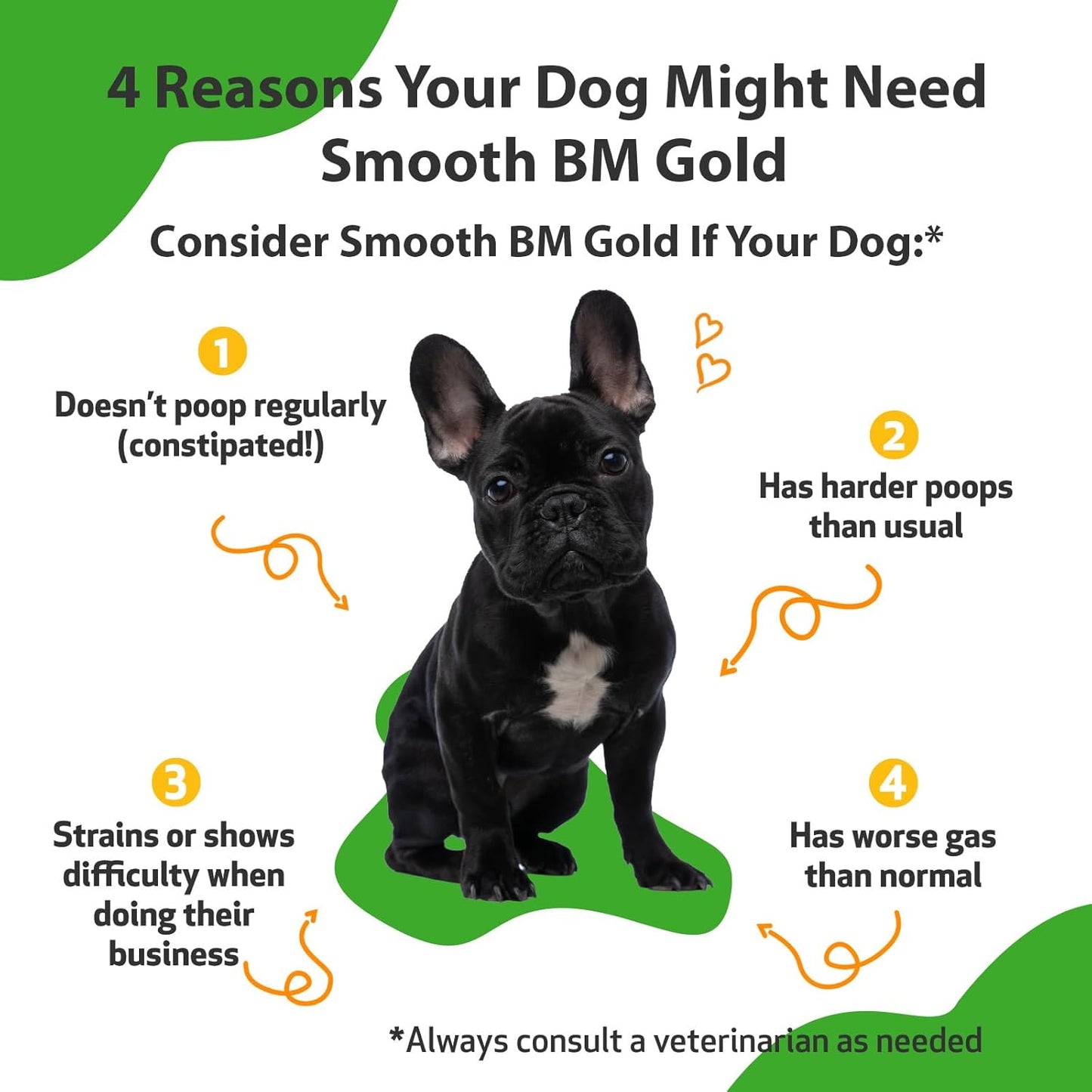 Veterinarian-Formulated Smooth BM Gold for Dogs - Supports Healthy Bowel Movements and Gastrointestinal Health - Herbal Supplement 2 oz