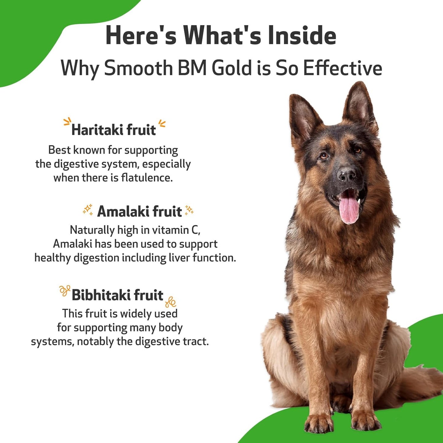 Veterinarian-Formulated Smooth BM Gold for Dogs - Supports Healthy Bowel Movements and Gastrointestinal Health - Herbal Supplement 2 oz