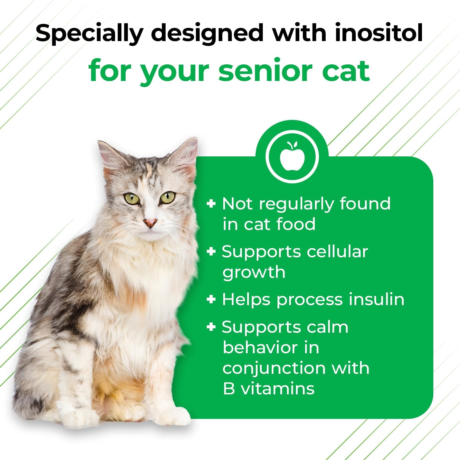 VetriScience Nu Cat Senior Multivitamin Chews with Lysine - 30 Count - Supports Heart, Eye, Brain Function, Immunity, Liver Health in Senior Cats