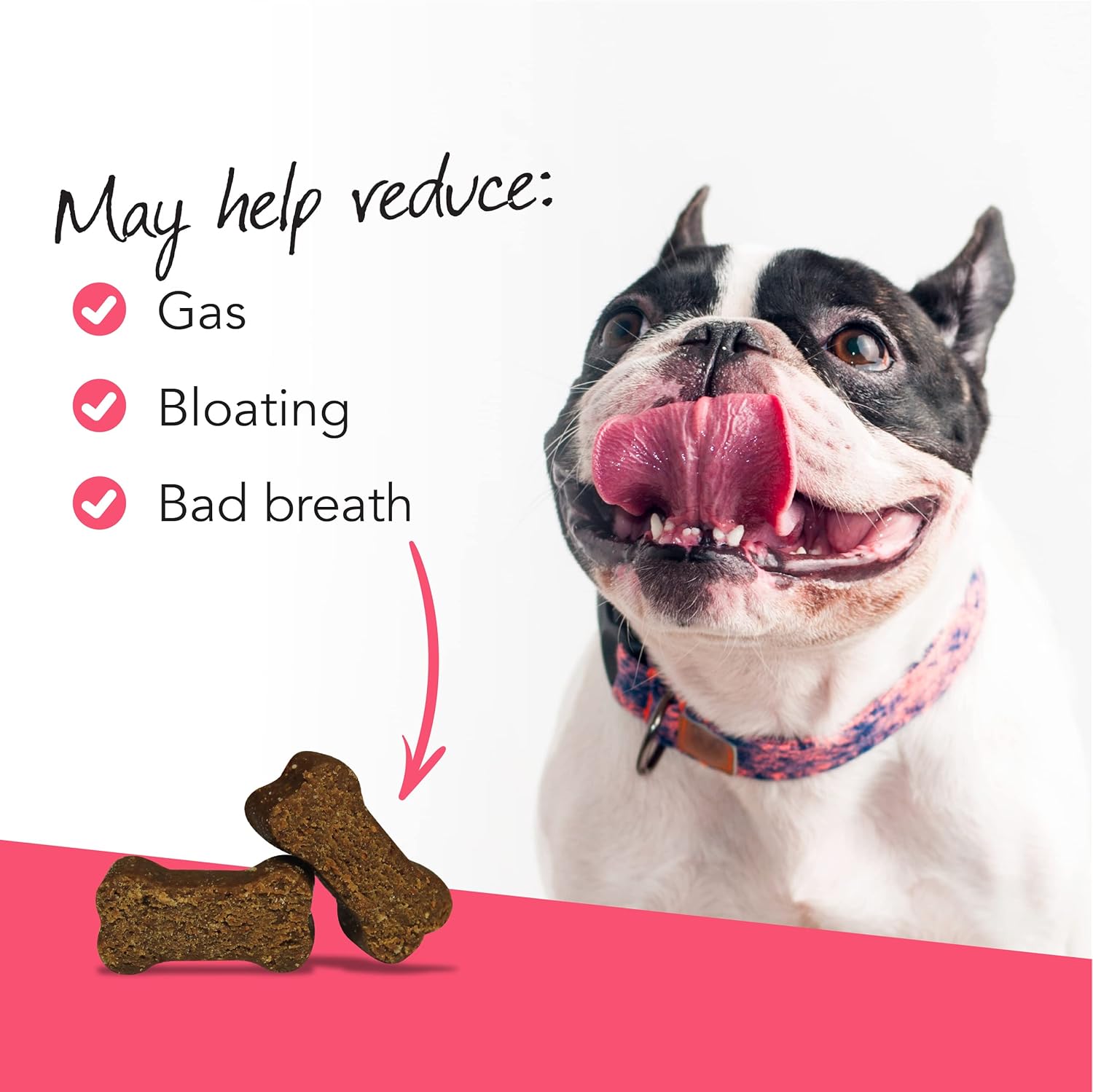 VetriScience Probiotic Gut Health Chews for Dogs - Digestive & Immune Support - 120 Count Duck Flavored Chews with 1 Billion CFU