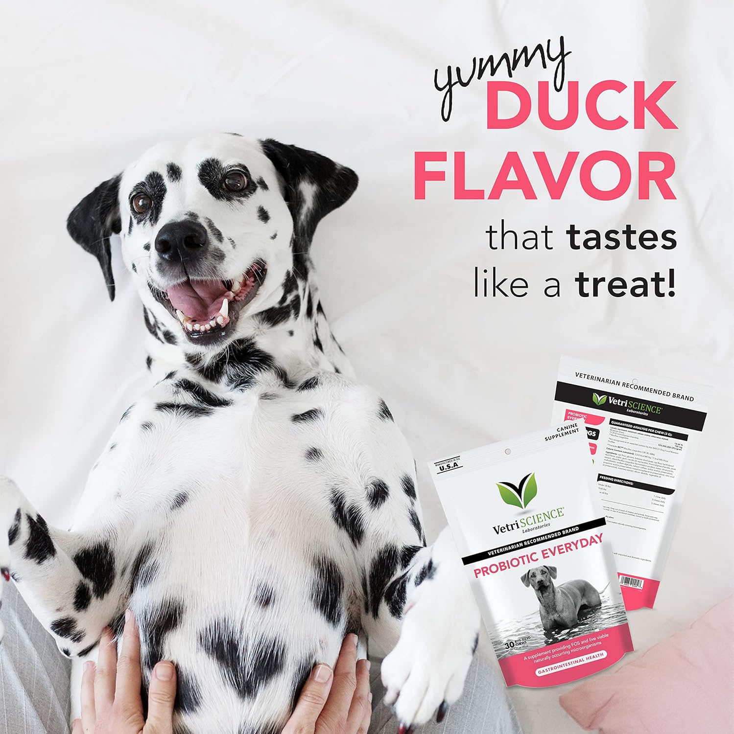 VetriScience Probiotic Gut Health Chews for Dogs - Digestive & Immune Support - 120 Count Duck Flavored Chews with 1 Billion CFU