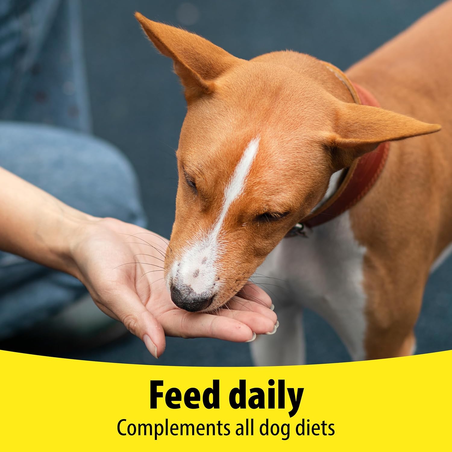 Vetzyme Dog Vitamin B and E Supplement Tablets - 200 Count