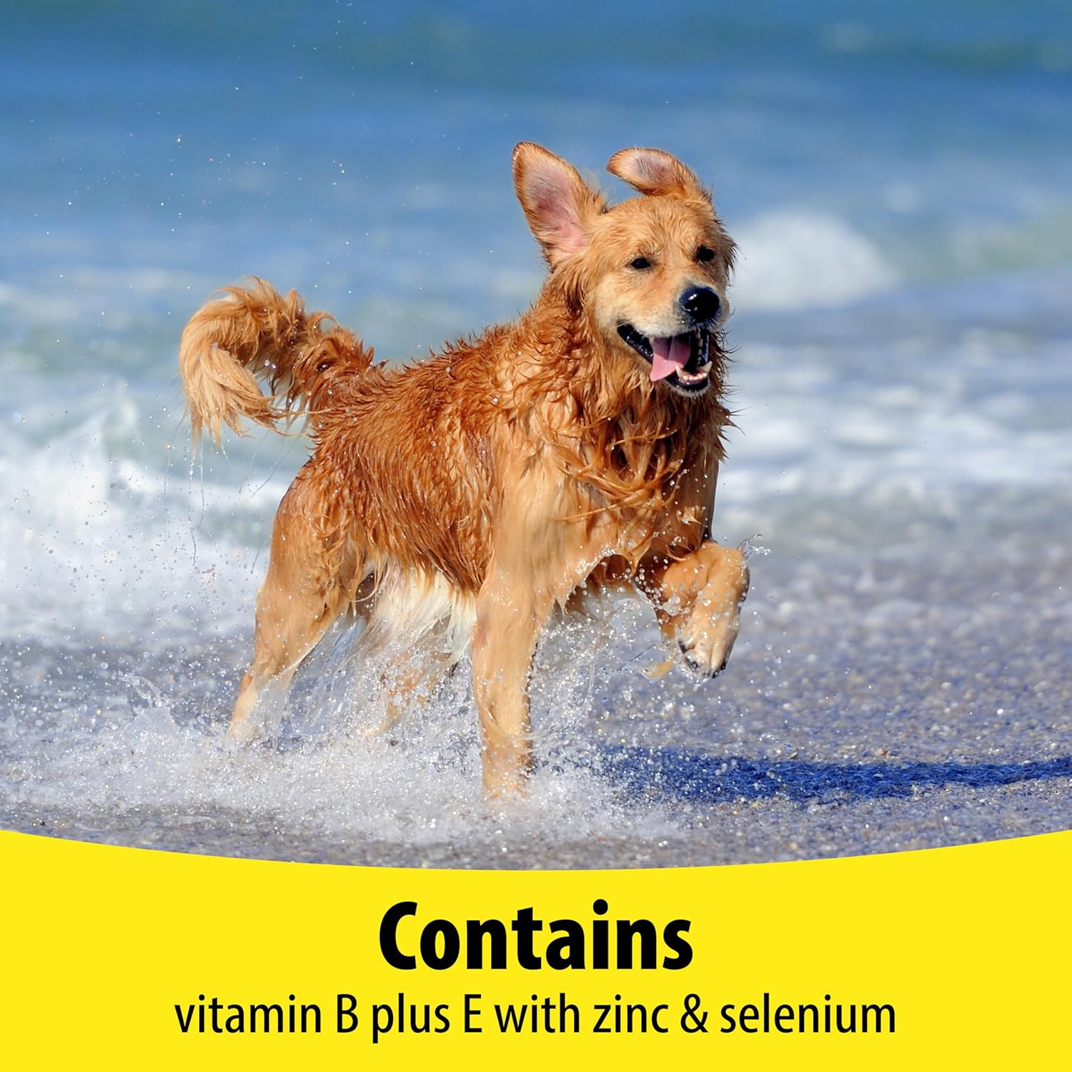 Vetzyme Dog Vitamin B and E Supplement Tablets - 200 Count