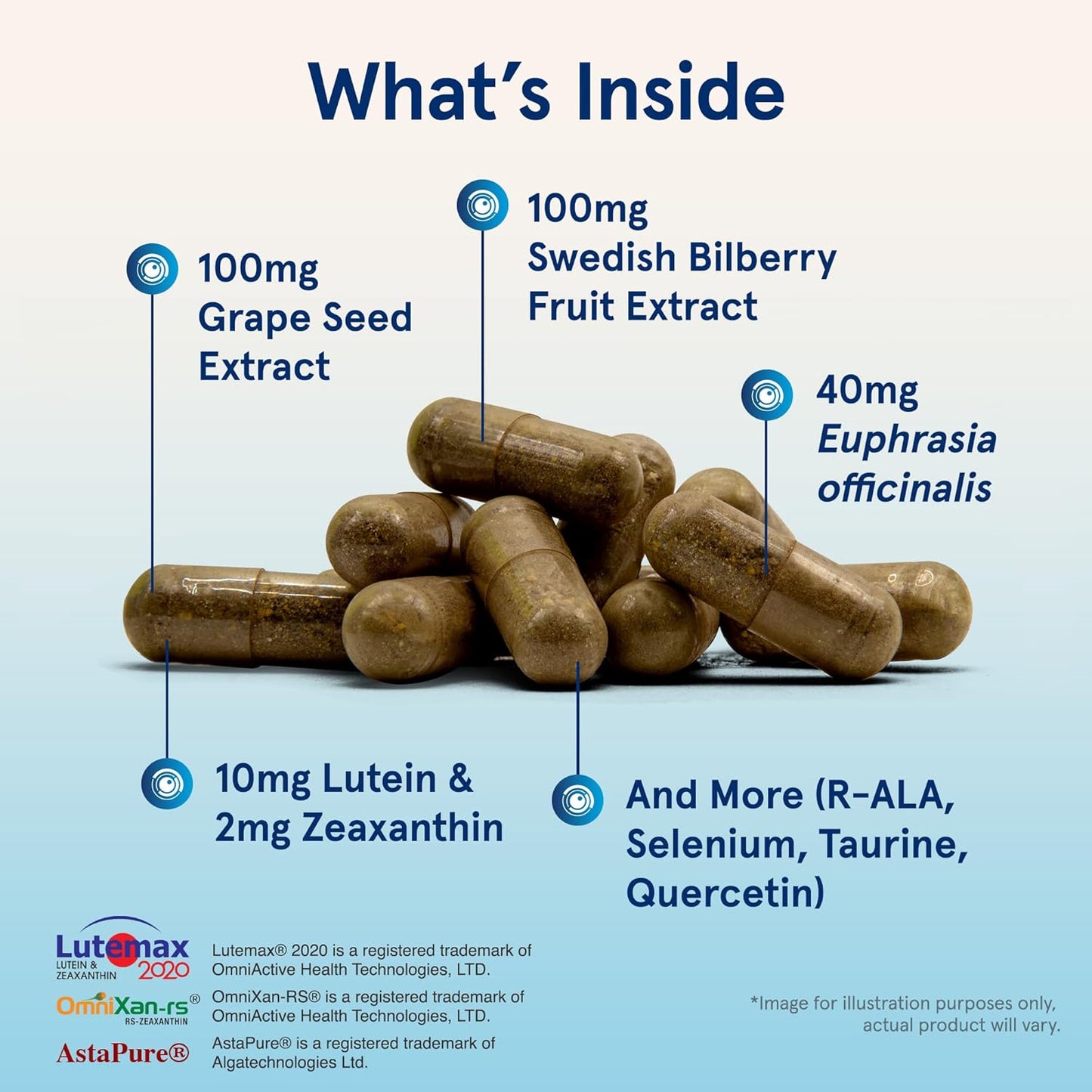 Vision Optimizer Dietary Supplement by Jarrow Formulas® - Supports Visual Function - 90 Capsules, 30 Day Supply