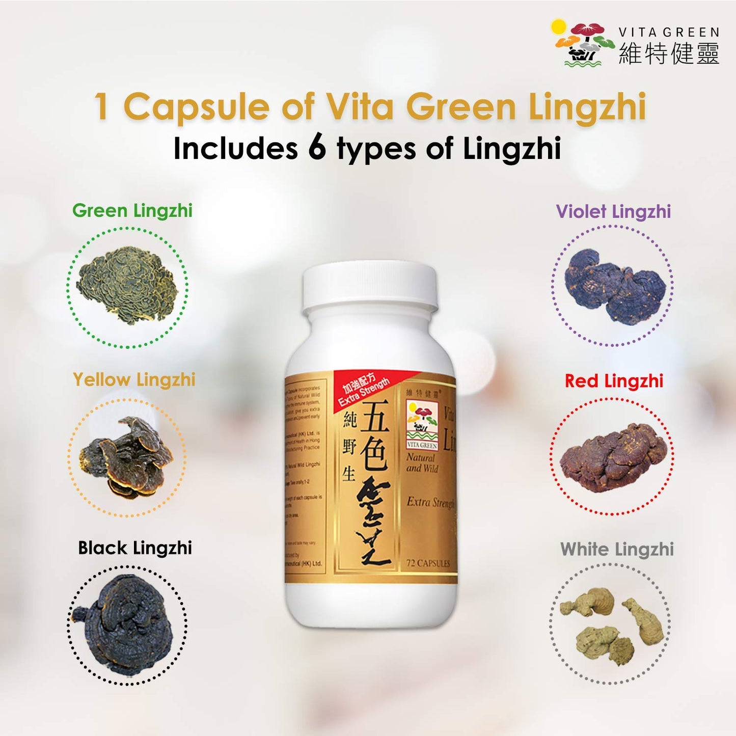 Vita Green Hair Growth & Loss Bundle - 3 Types of Capsules for Healthy Hair & Scalp - 222 Capsules Total