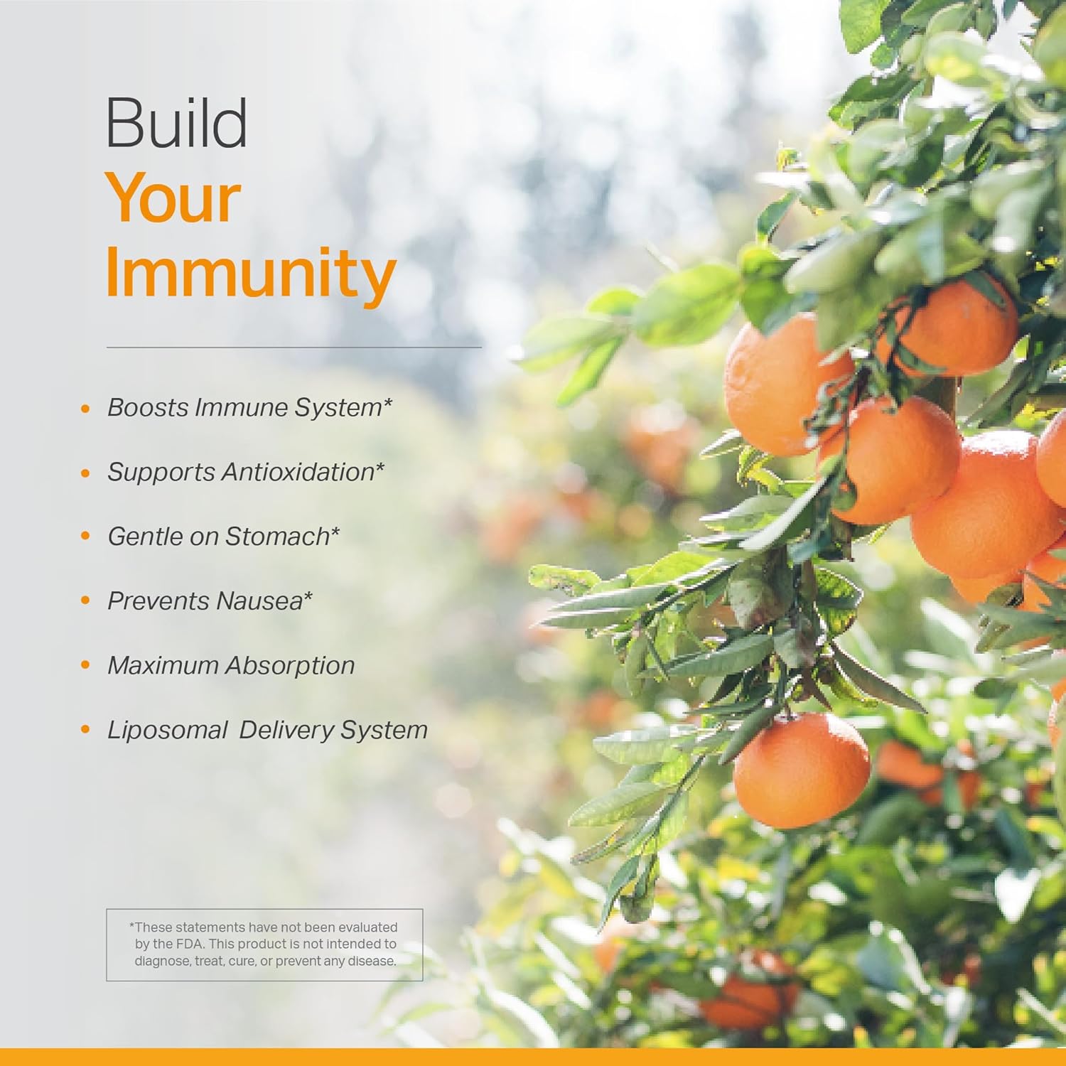 Vita Liposomal Vitamin C Supplement - Enhanced Immunity & Antioxidant Support, High Absorption, Non-GMO, Gluten-Free - 120 Capsules - BoostGo Australia