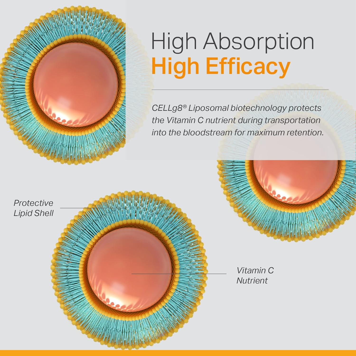 Vita Liposomal Vitamin C Supplement - Enhanced Immunity & Antioxidant Support, High Absorption, Non-GMO, Gluten-Free - 120 Capsules - BoostGo Australia
