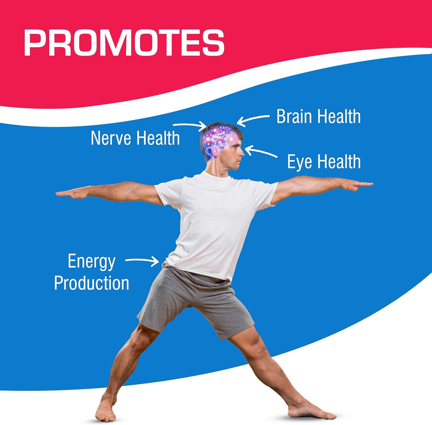 Vital ALA 300 Softgel Supplements - Anabolic Laboratories Alpha Lipoic Acid 300mg for Energy, Bone, Eye, and Nerve Health