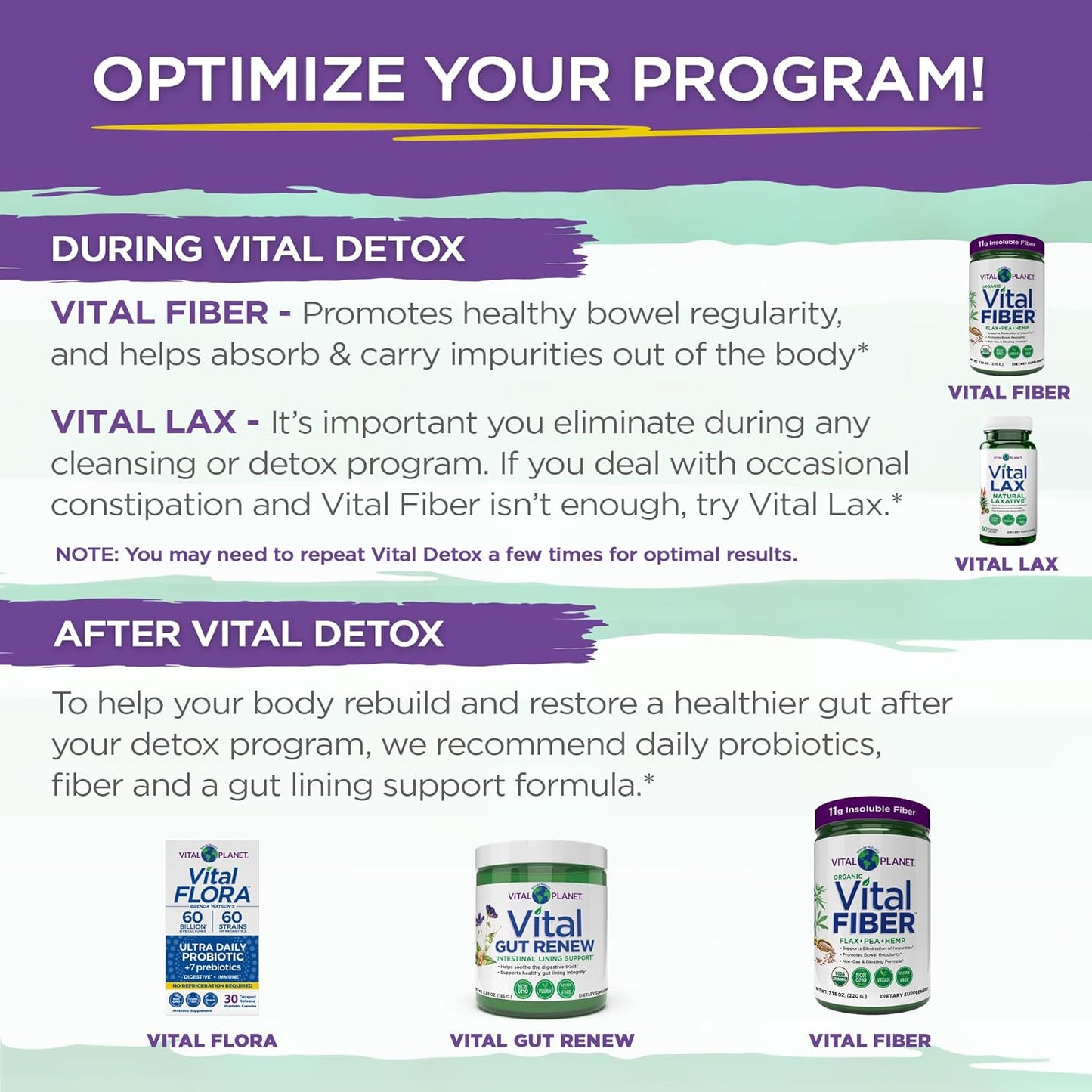 Vital Planet 2-Part 14 Day Detox Kit with Milk Thistle, Quercetin, Alpha Lipoic Acid, Choline, Herbs - Supports Intestinal Balance, Reduces Gas and Bloating - 56 Capsules