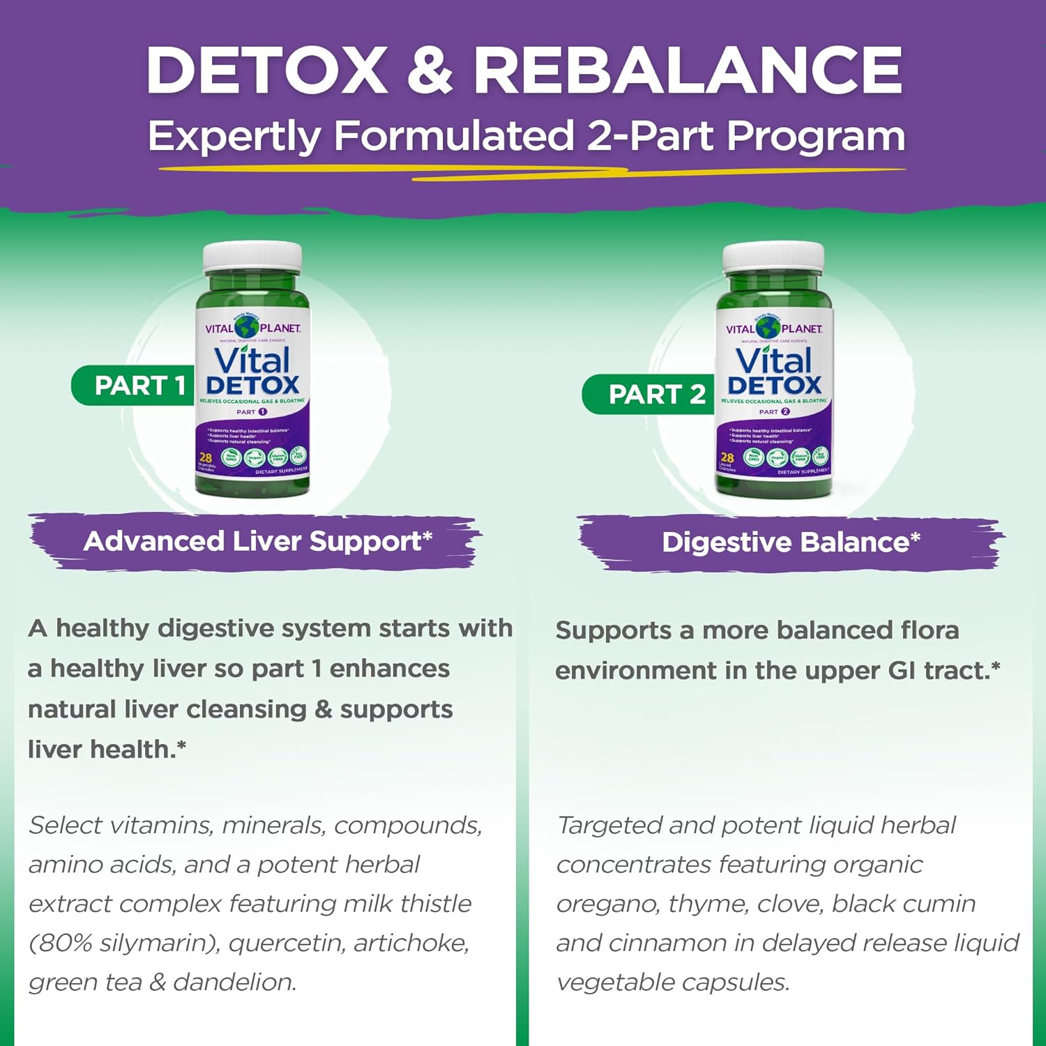 Vital Planet 2-Part 14 Day Detox Kit with Milk Thistle, Quercetin, Alpha Lipoic Acid, Choline, Herbs - Supports Intestinal Balance, Reduces Gas and Bloating - 56 Capsules