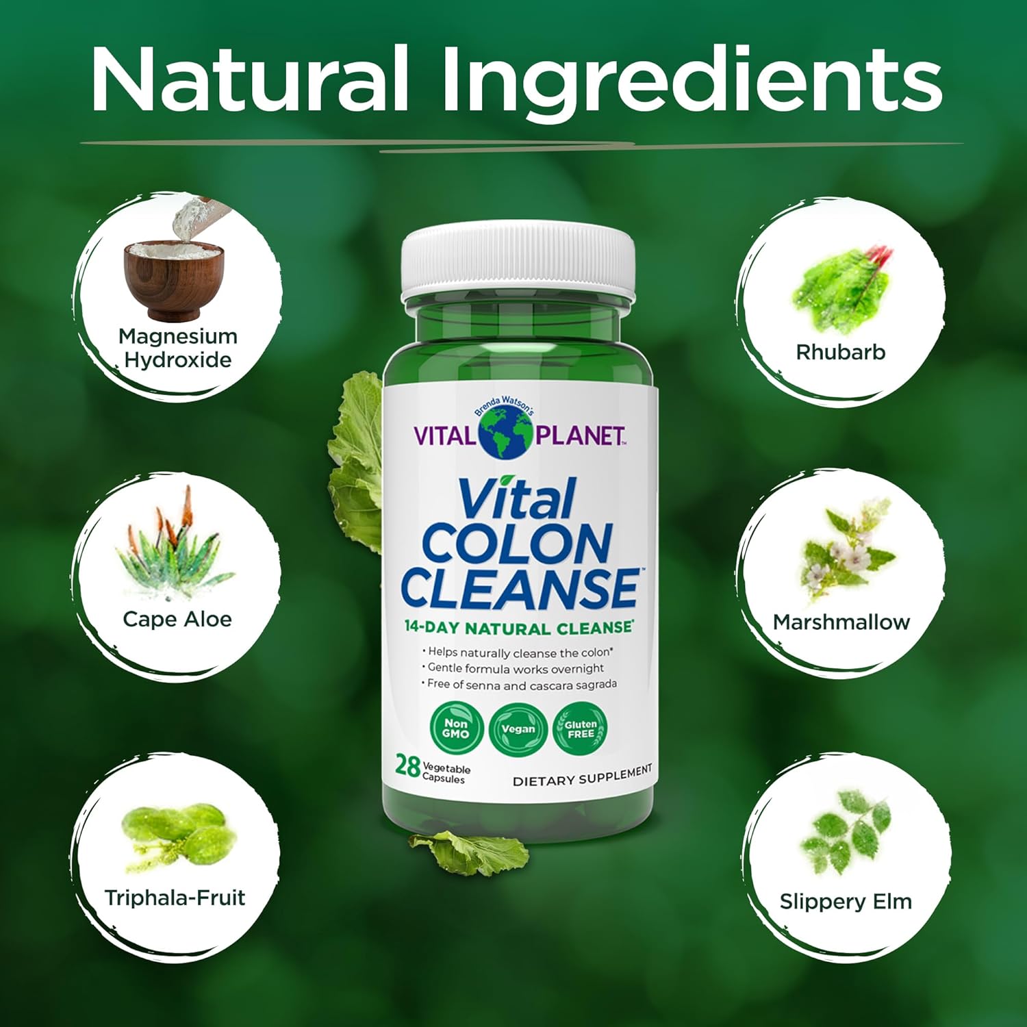 Vital Planet Colon Cleanse: 14-Day Detox for Digestive Health, Bloating, Constipation - 28 Capsules