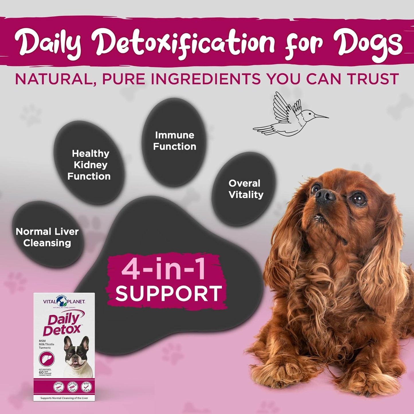 Vital Planet Daily Detox Chewable Tablets for Dogs 60ct - MSM, Milk Thistle, Spirulina & Turmeric - Supports Immune System & Liver Cleansing