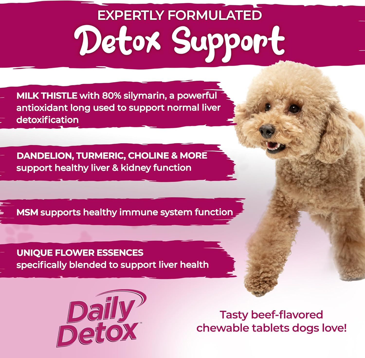 Vital Planet Daily Detox Chewable Tablets for Dogs 60ct - MSM, Milk Thistle, Spirulina & Turmeric - Supports Immune System & Liver Cleansing