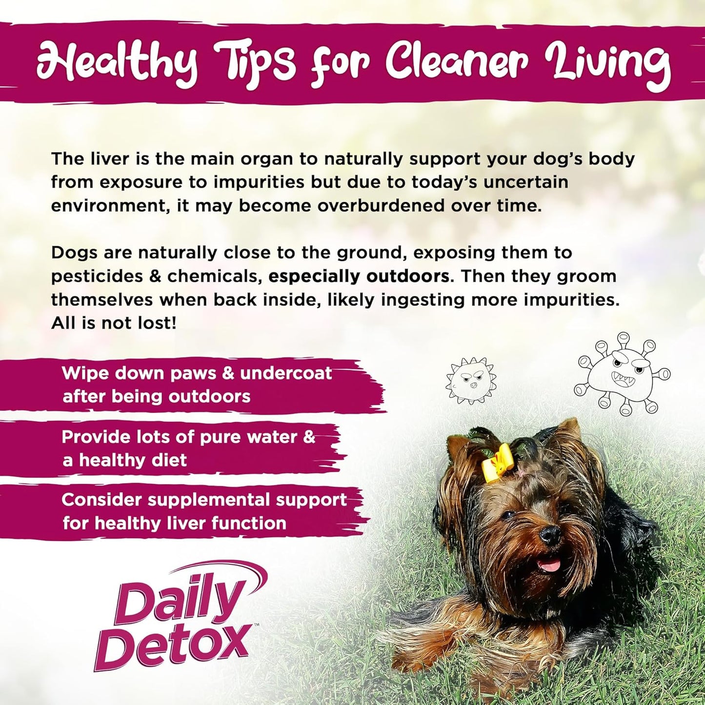 Vital Planet Daily Detox Chewable Tablets for Dogs 60ct - MSM, Milk Thistle, Spirulina & Turmeric - Supports Immune System & Liver Cleansing