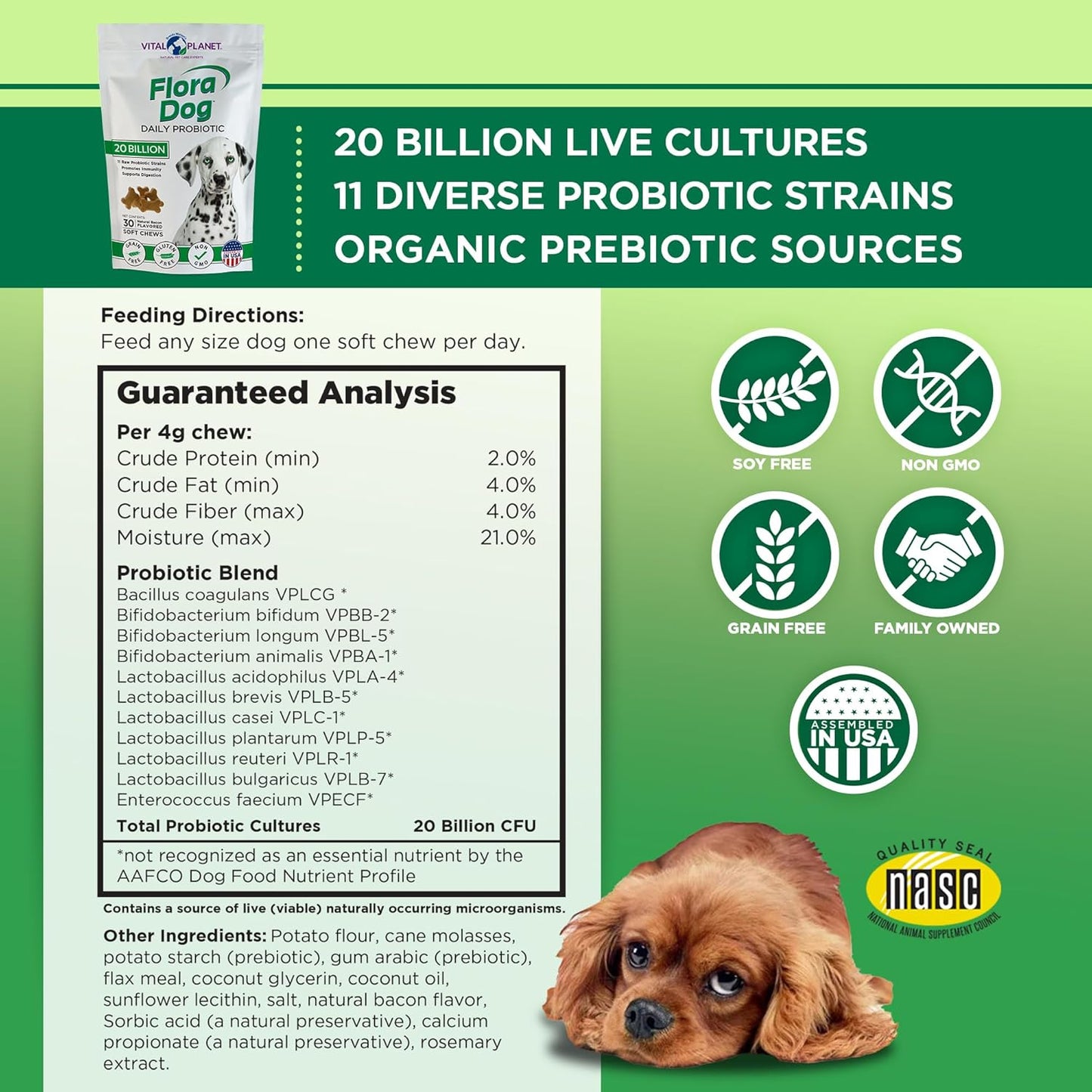 Vital Planet Flora Dog Probiotics: Immune & Digestive Support Chews for Dogs, 20B Cultures, 11 Strains, 30 Bacon Flavored Soft Chews - BoostGo Australia
