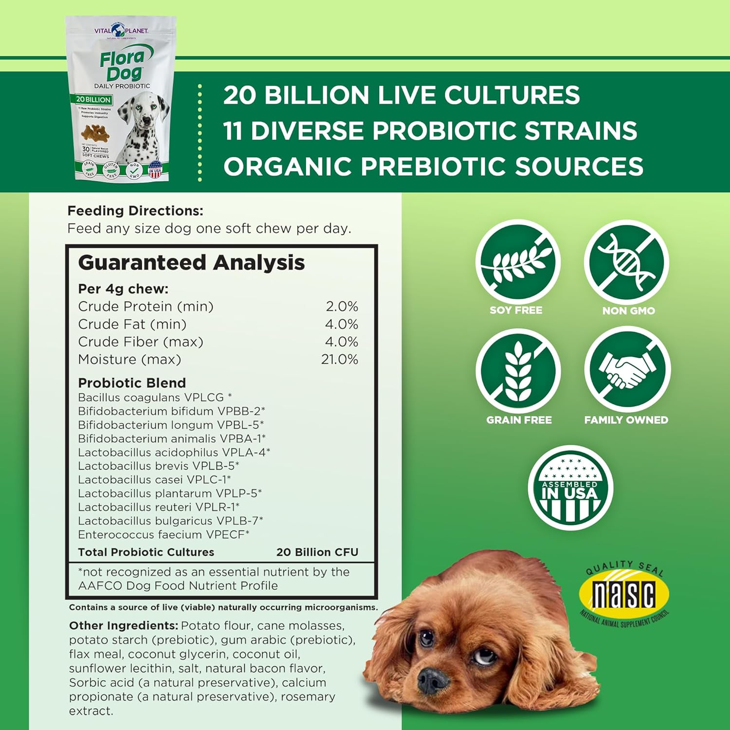 Vital Planet Flora Dog Probiotics: Immune & Digestive Support Chews for Dogs, 20B Cultures, 11 Strains, 30 Bacon Flavored Soft Chews - BoostGo Australia