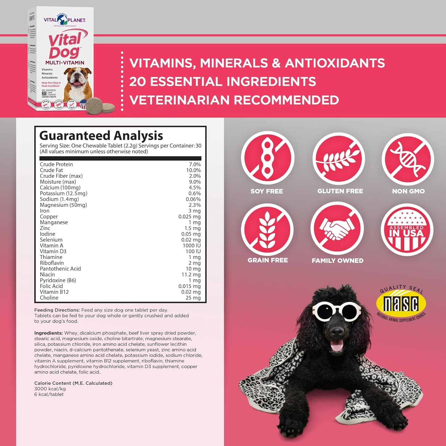 Vital Planet Vital Dog Multi Vitamin Chewable Tablet Supplement with Beef Flavor - 30 Tablets for Everyday Health