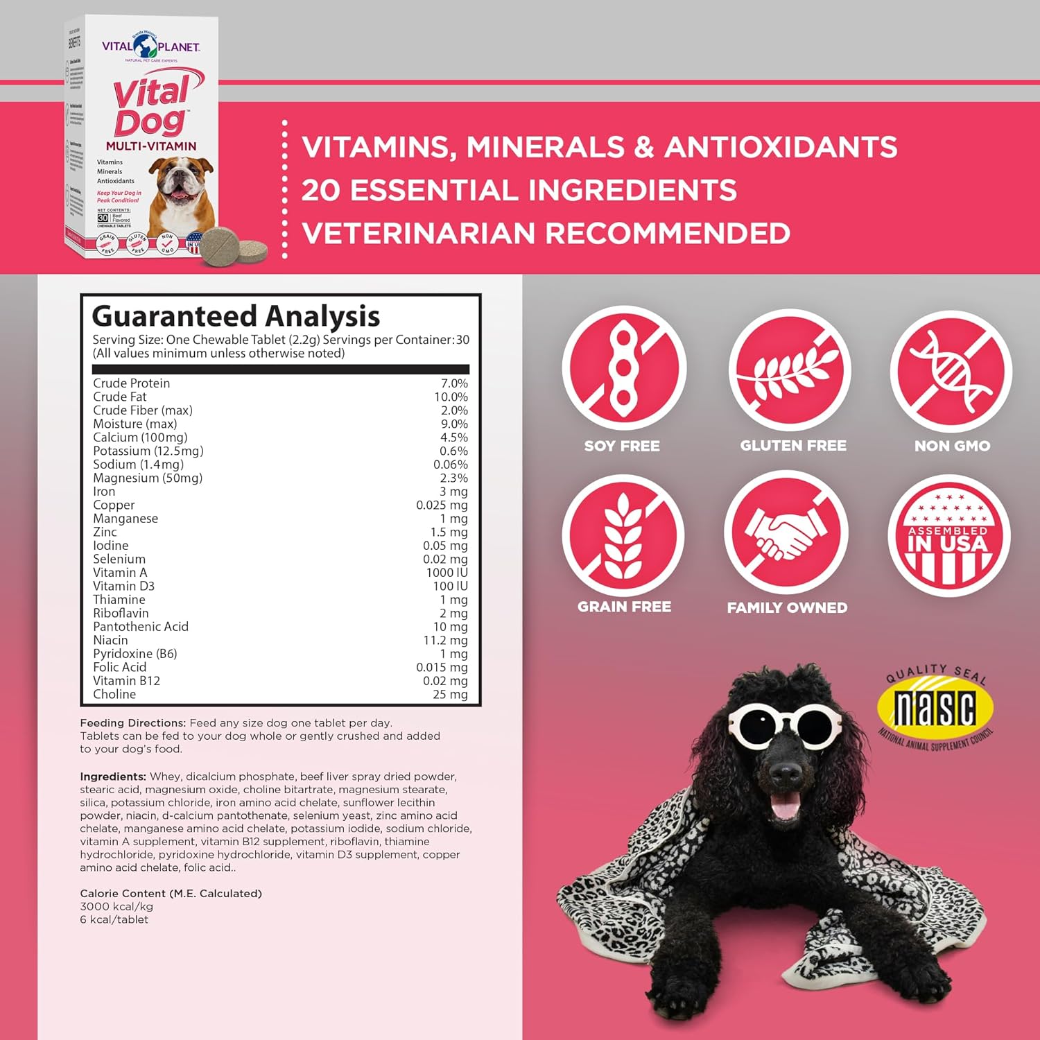 Vital Planet Vital Dog Multi Vitamin Chewable Tablet Supplement with Beef Flavor - 30 Tablets for Everyday Health