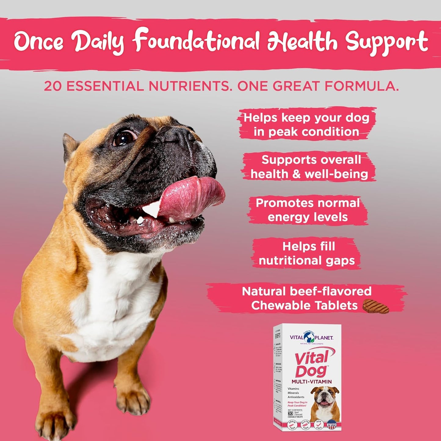 Vital Planet Vital Dog Multi Vitamin Chewable Tablet Supplement with Beef Flavor - 30 Tablets for Everyday Health